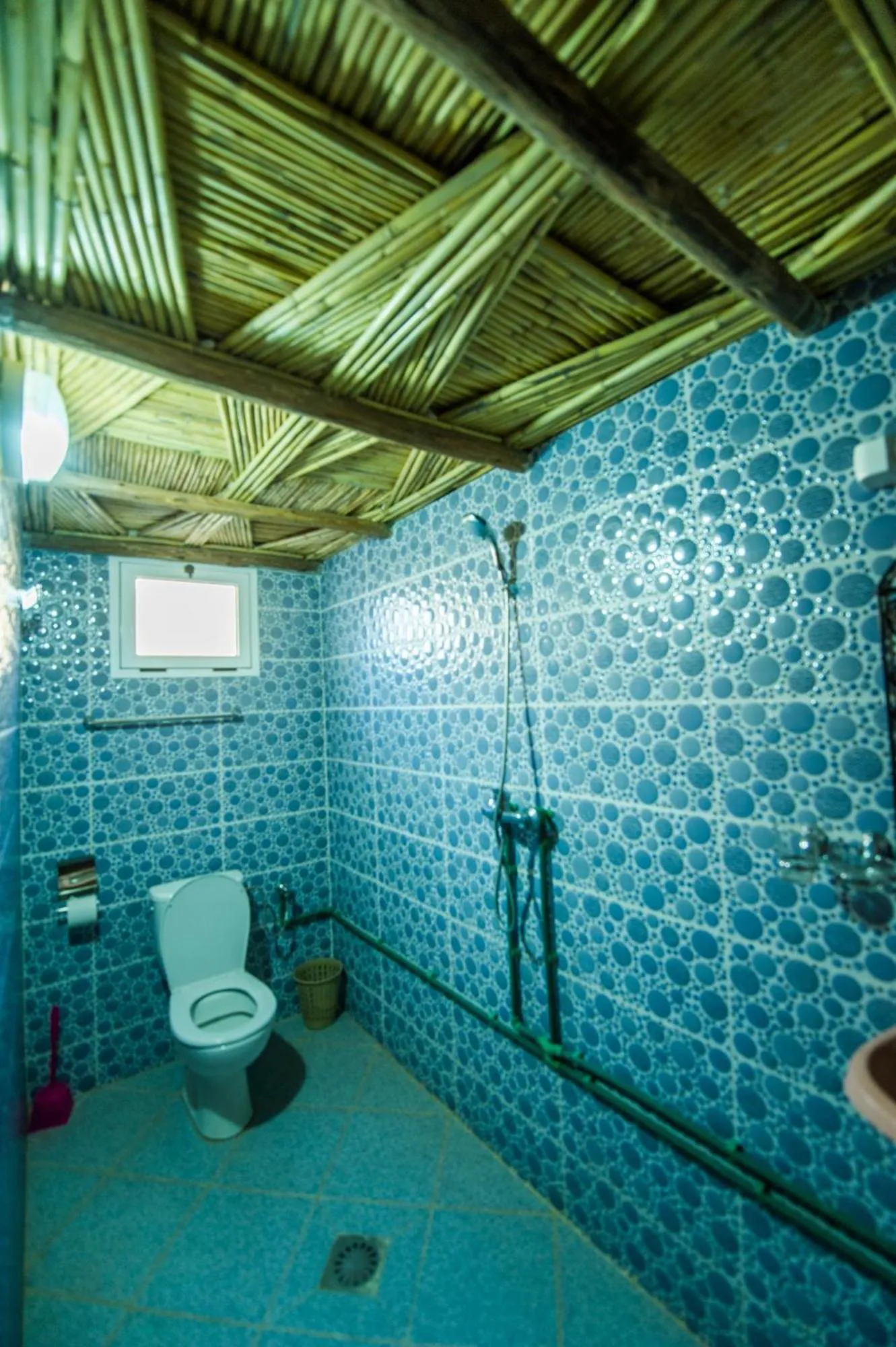 Les Jardins De Todgha gorges de todra tinghir