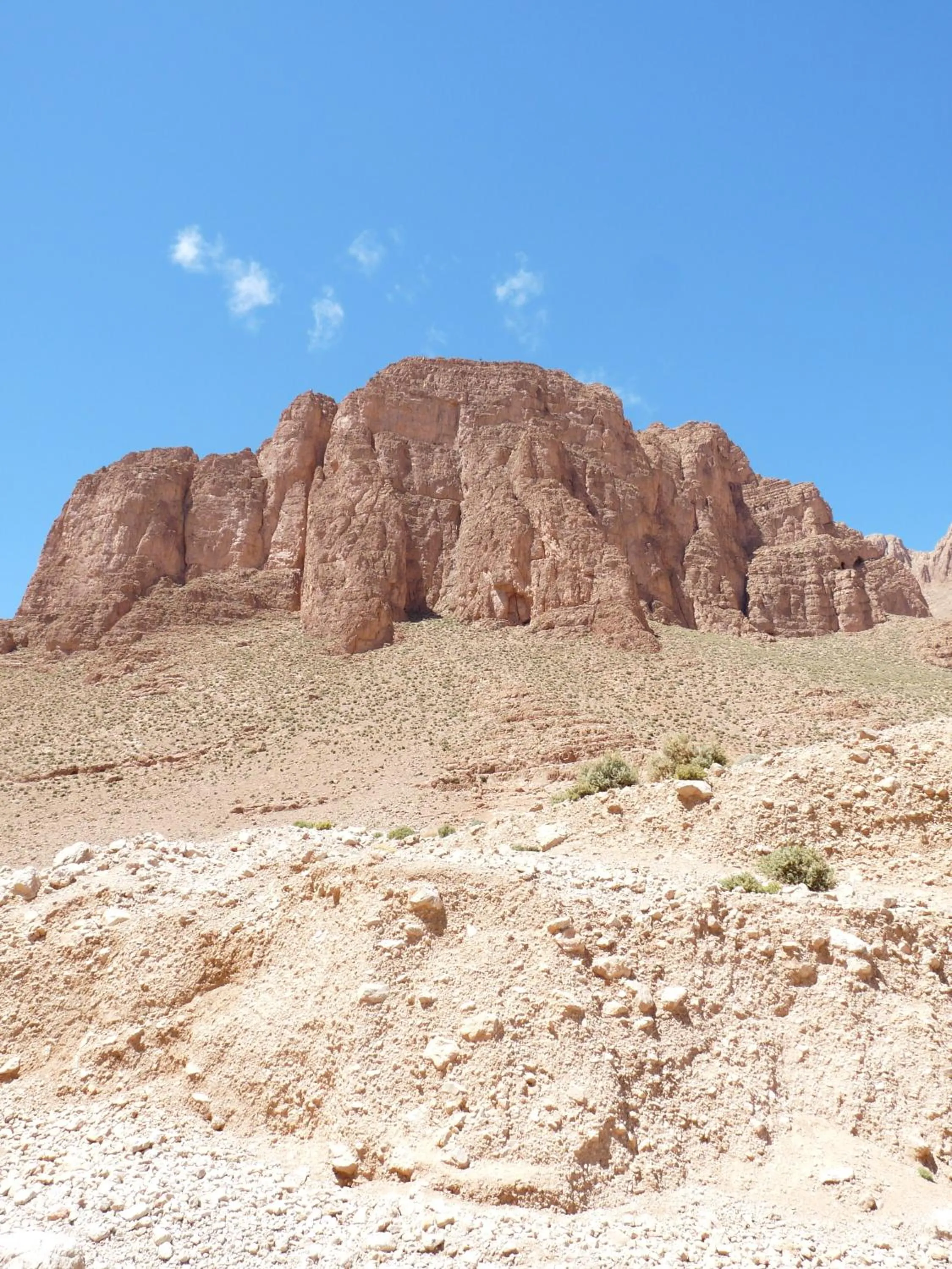 Les Jardins De Todgha gorges de todra tinghir