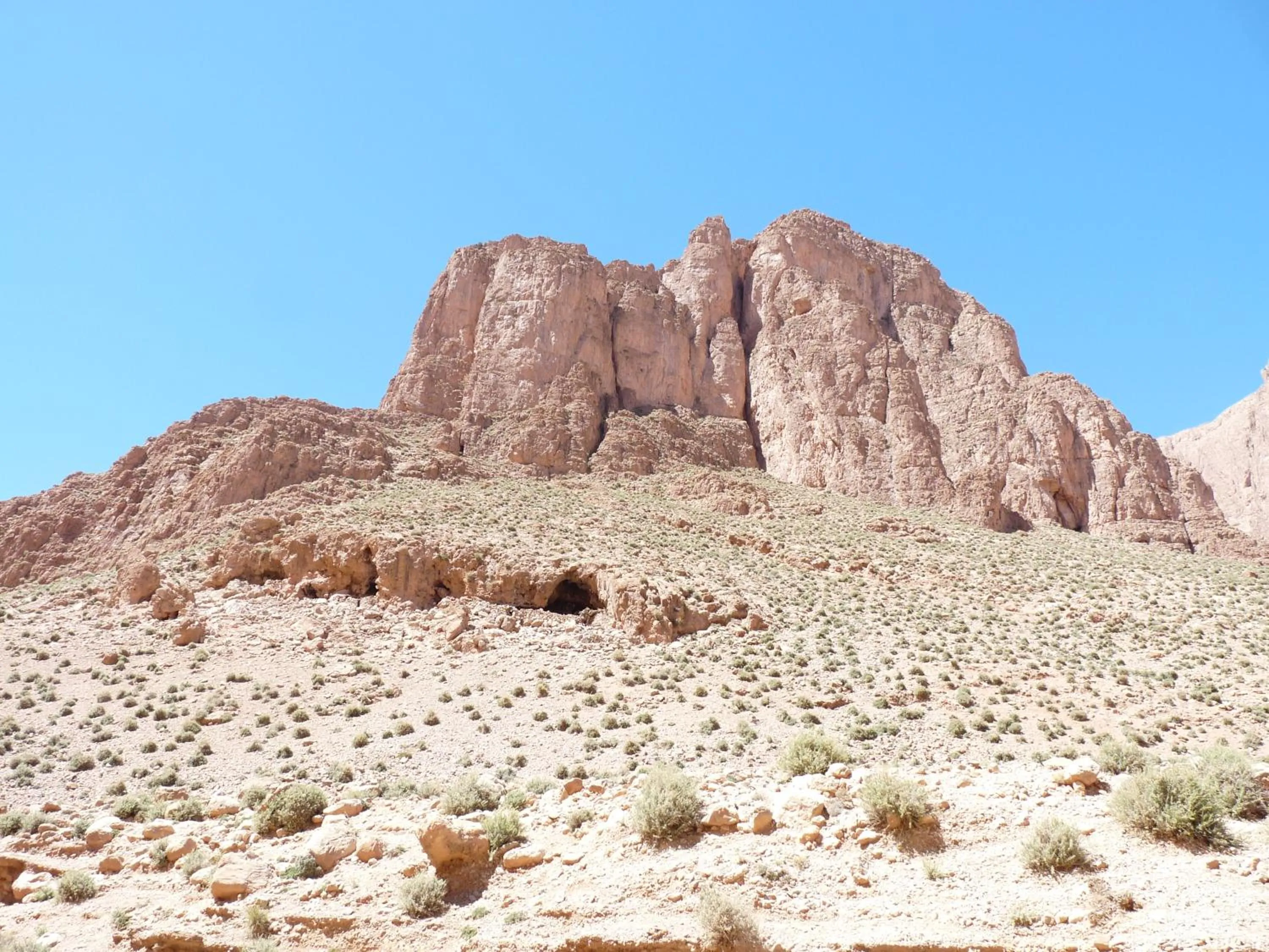 Les Jardins De Todgha gorges de todra tinghir