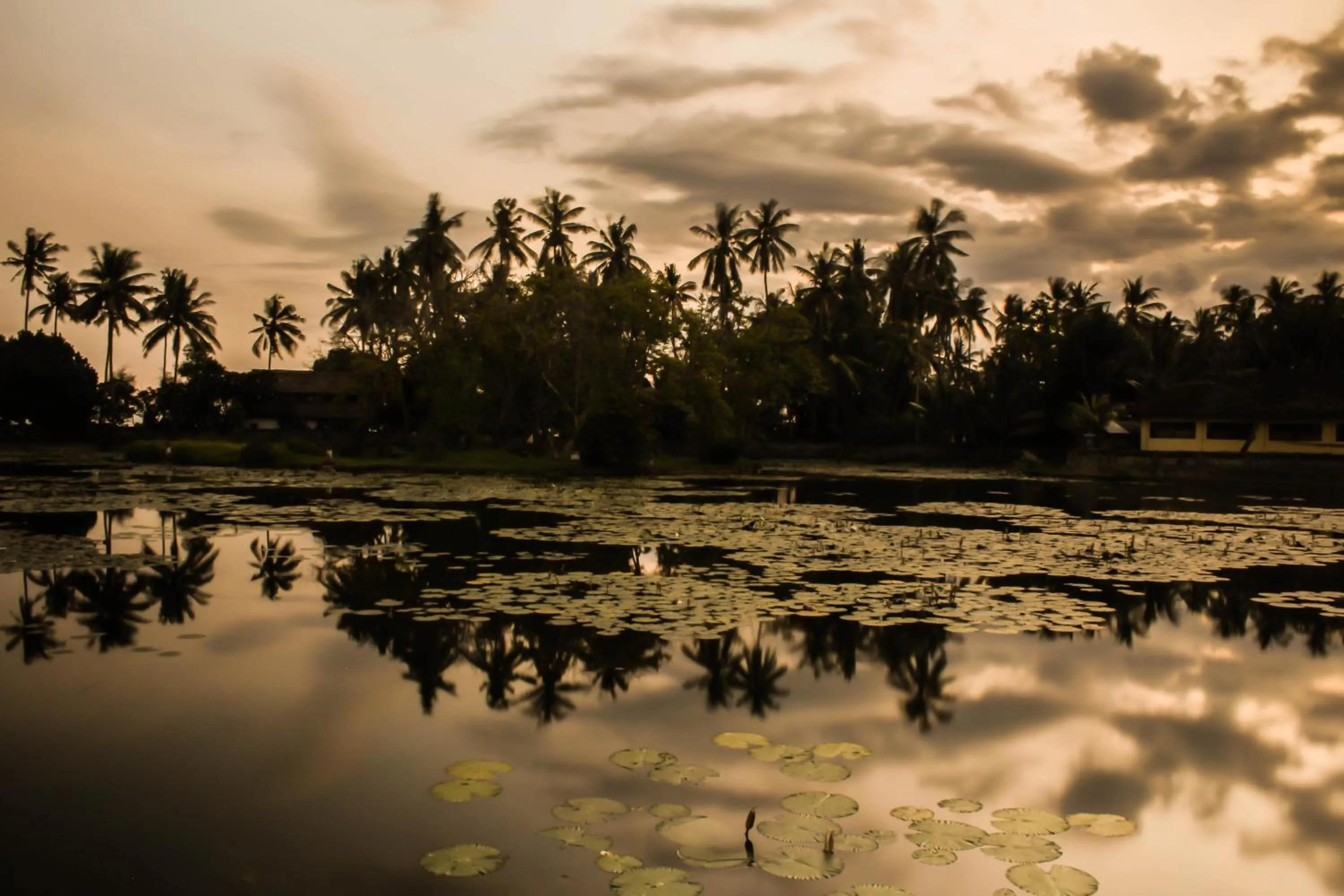 Nearby landmark in Bali Palms Resort