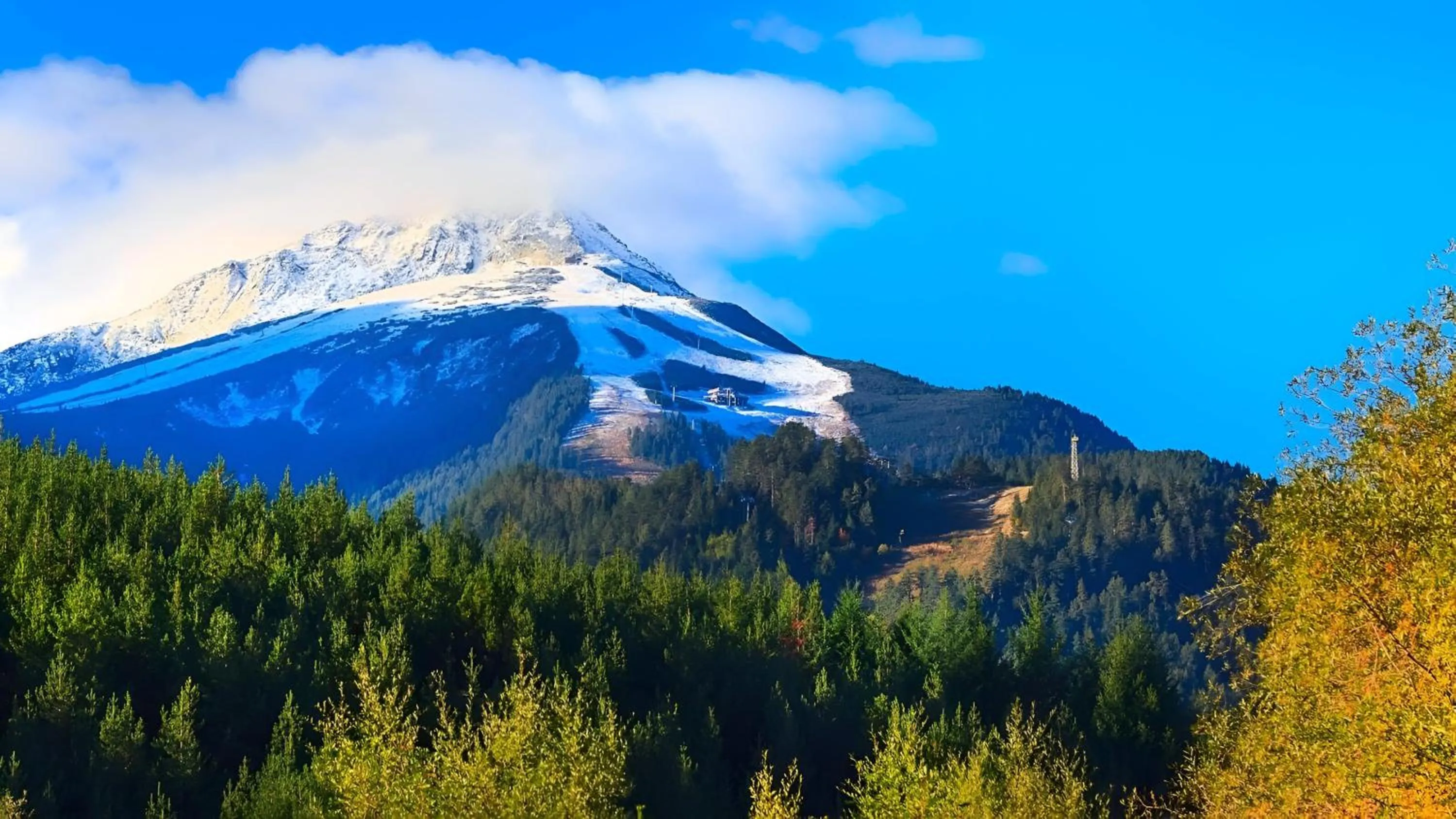 Nearby landmark in Hotel Tanne