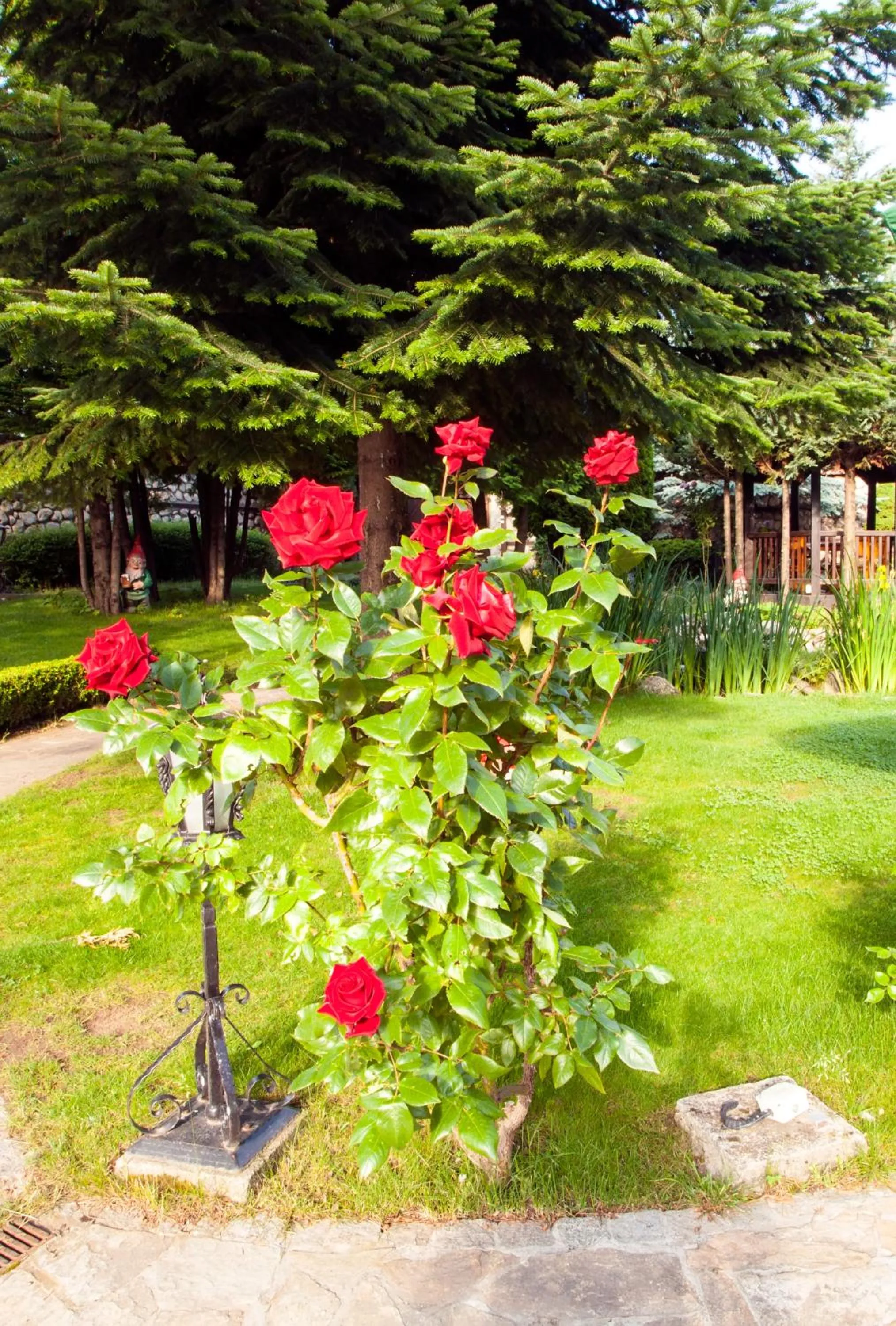 Spring in Hotel Tanne