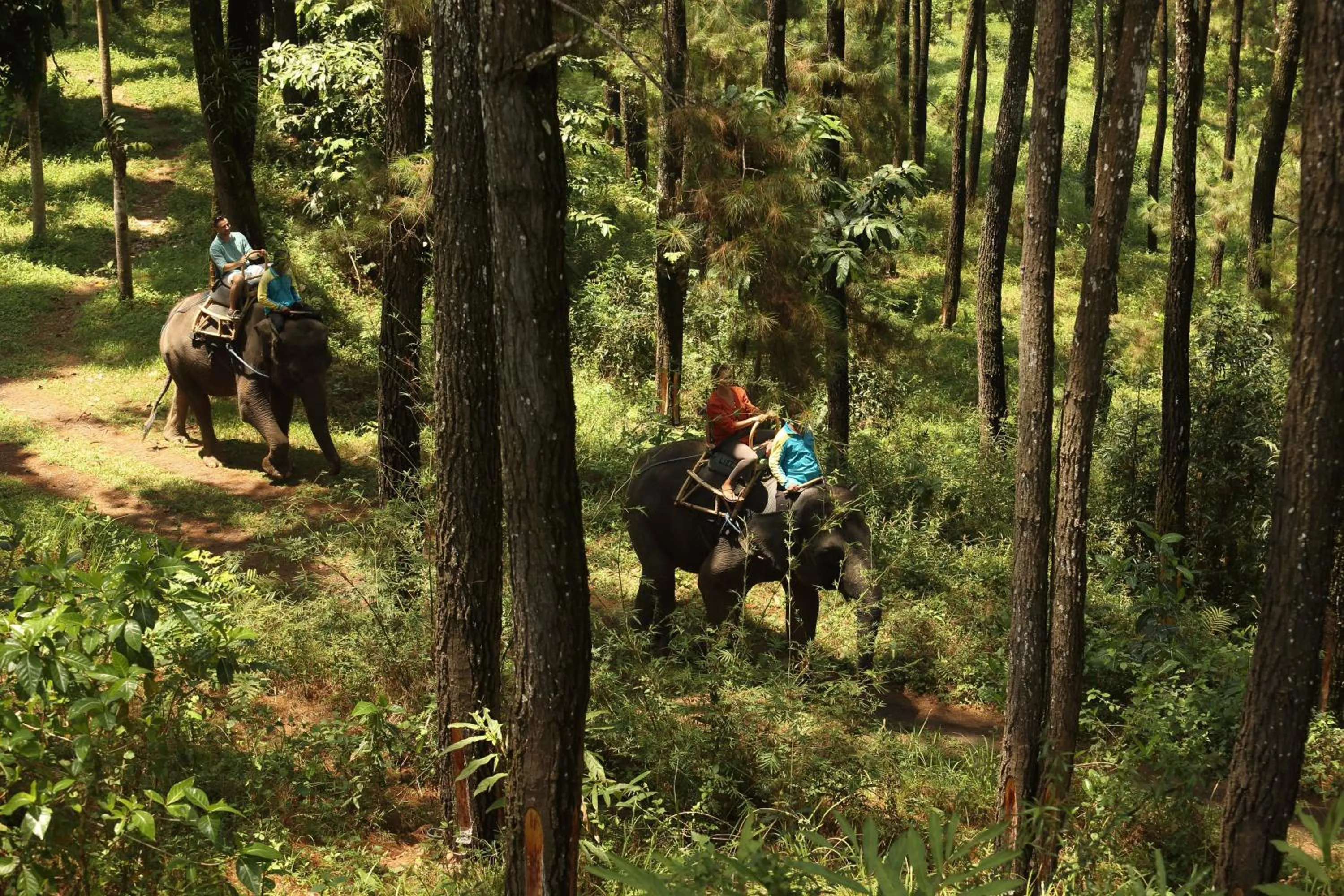 Day in Plataran Borobudur