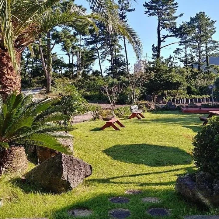 Garden view, Garden in New Ocean Resort