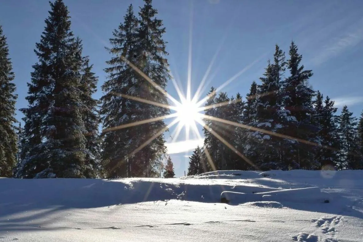 Caminetto Mountain Resort