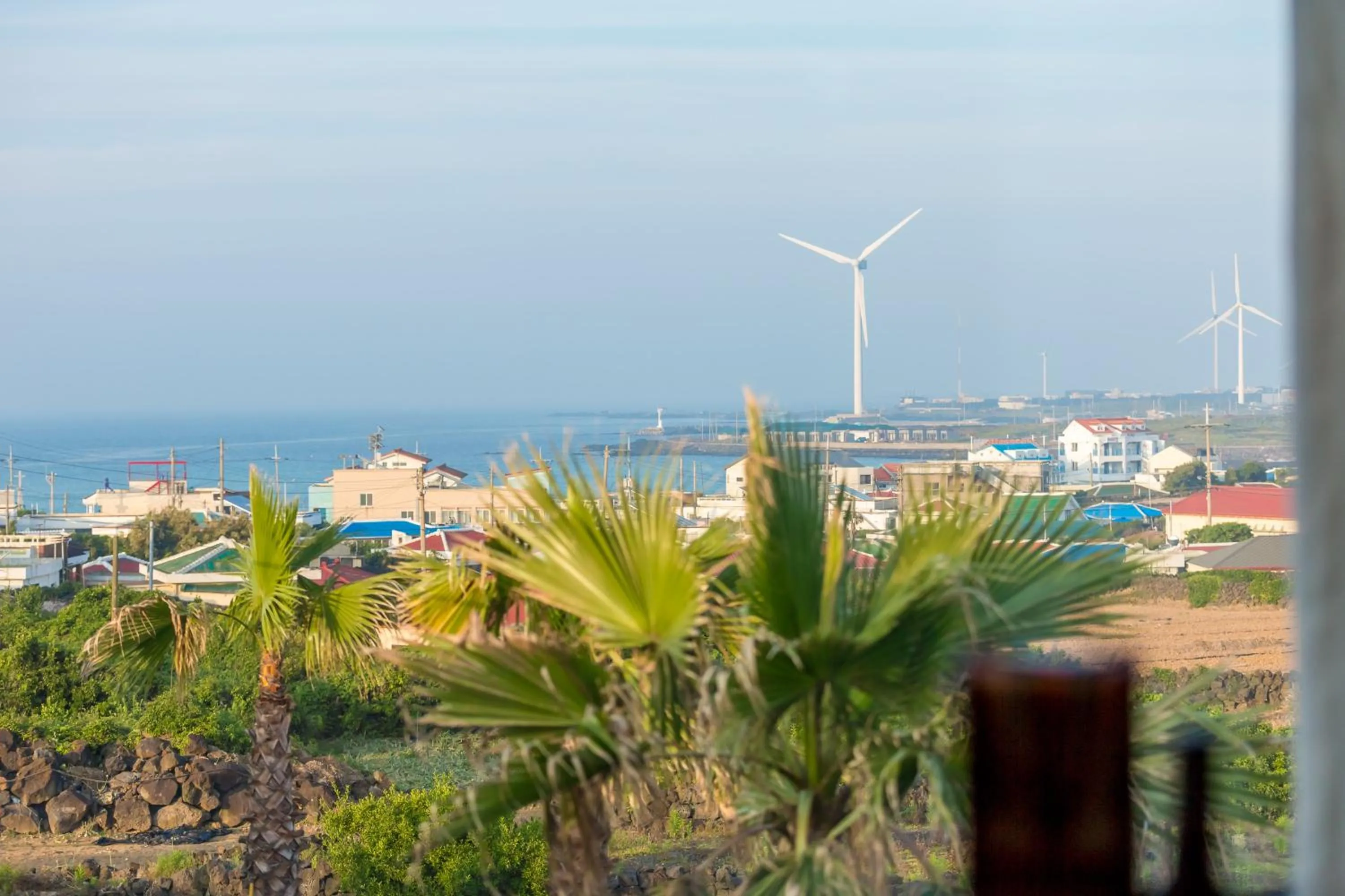 Garden view in Lunamar Pension