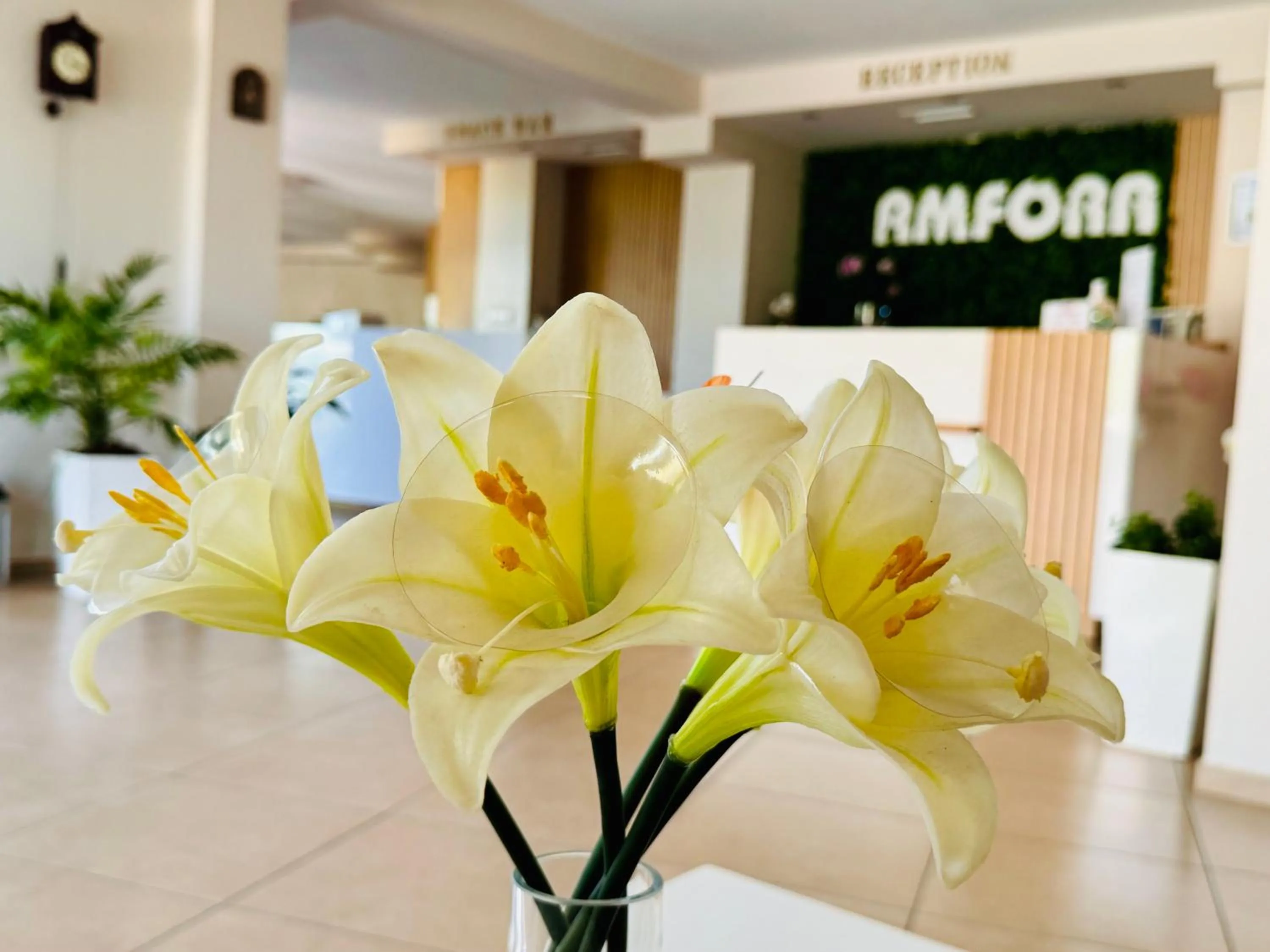 Property building in Hotel Amfora