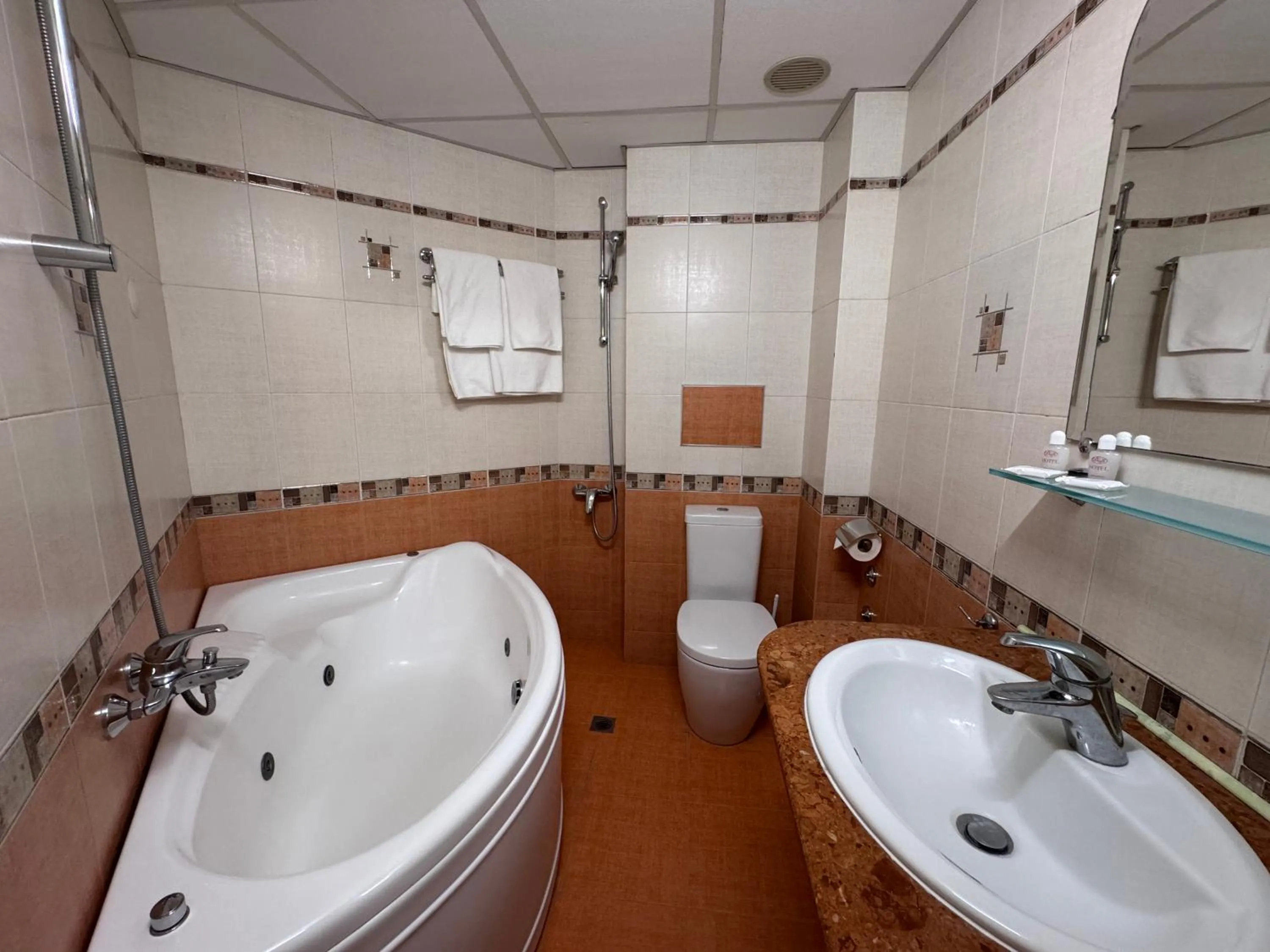 Shower in Hotel Dafi