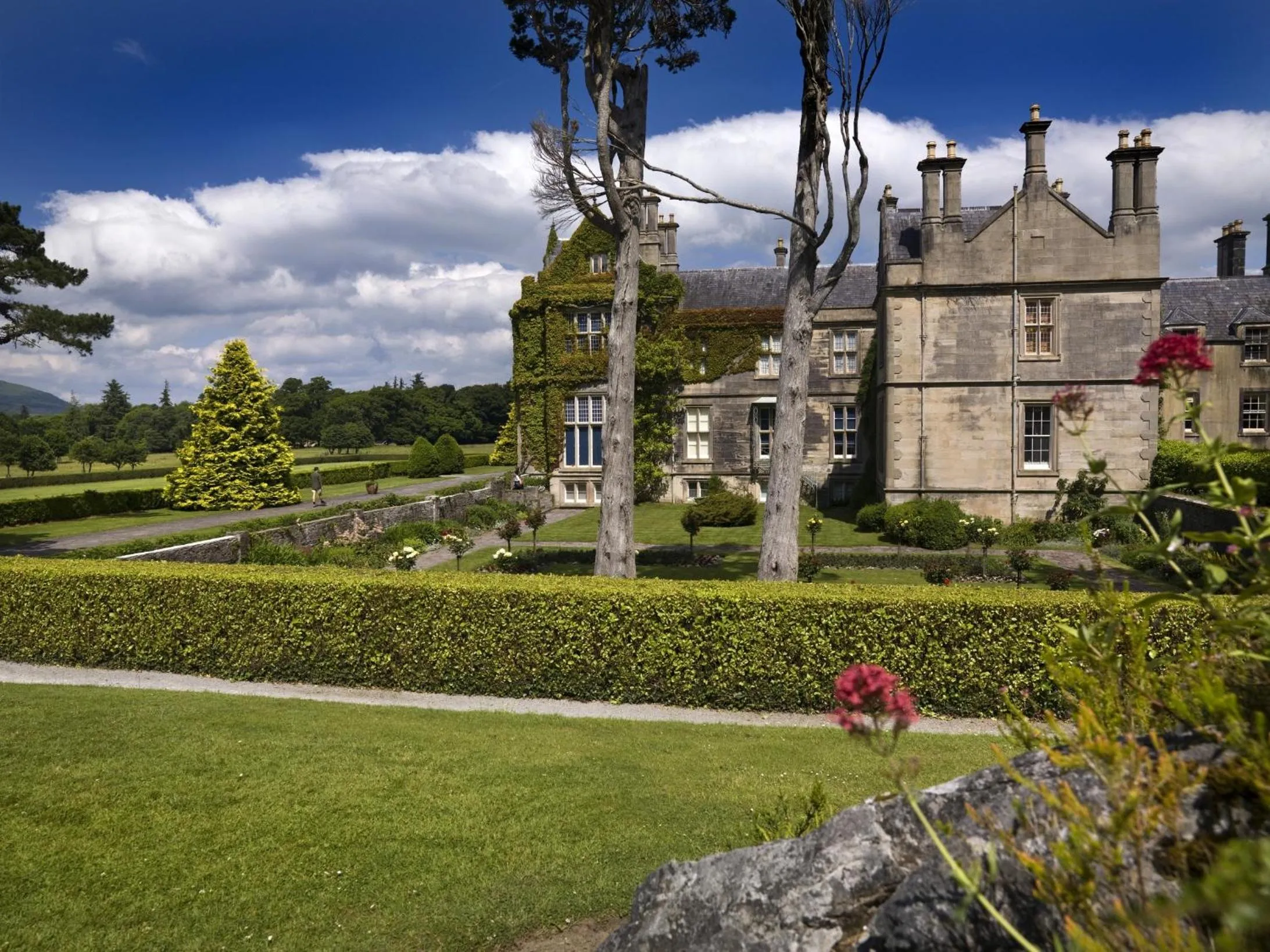 Area and facilities in Ardree House B&B