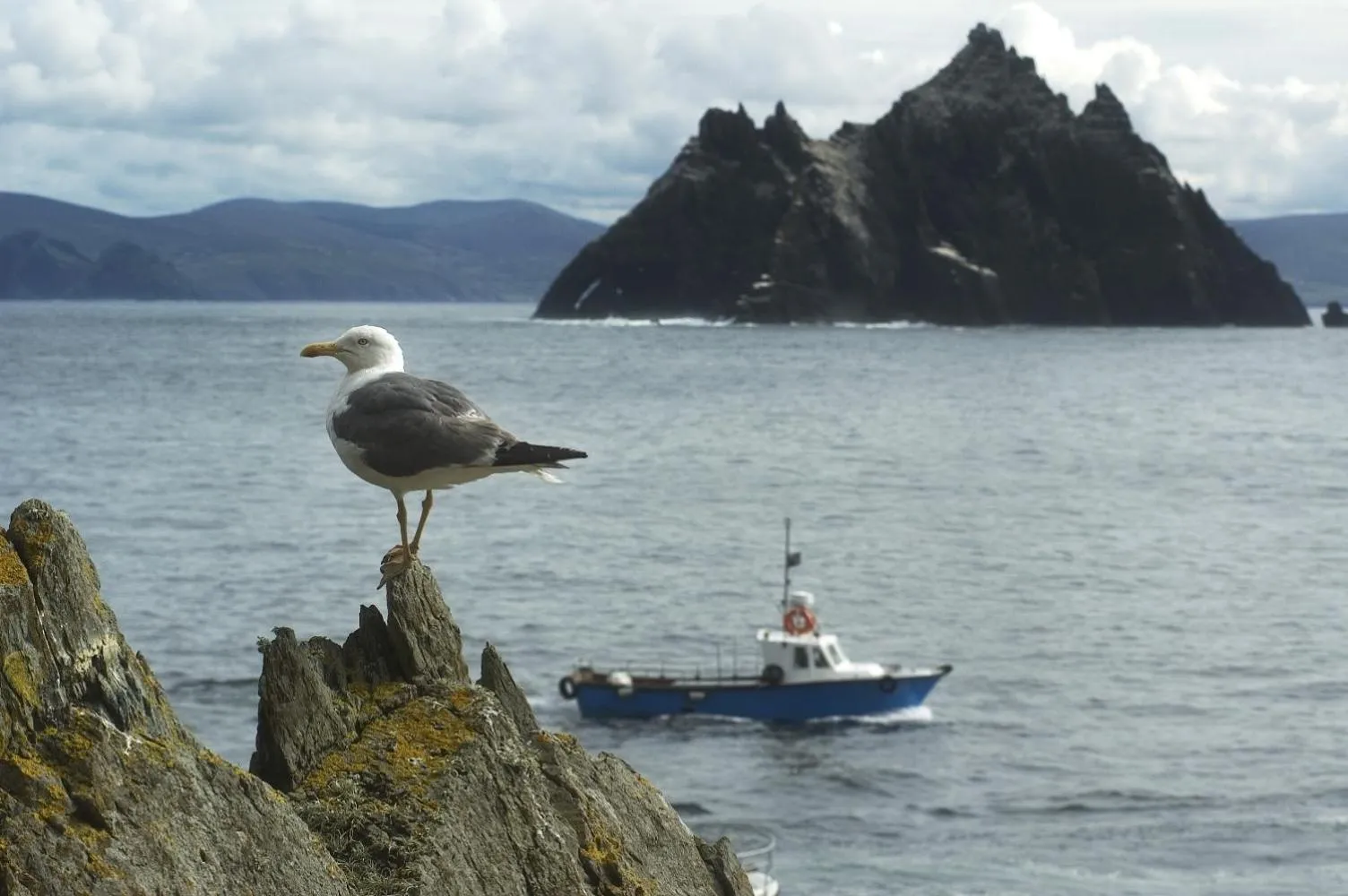 Area and facilities in Ardree House B&B