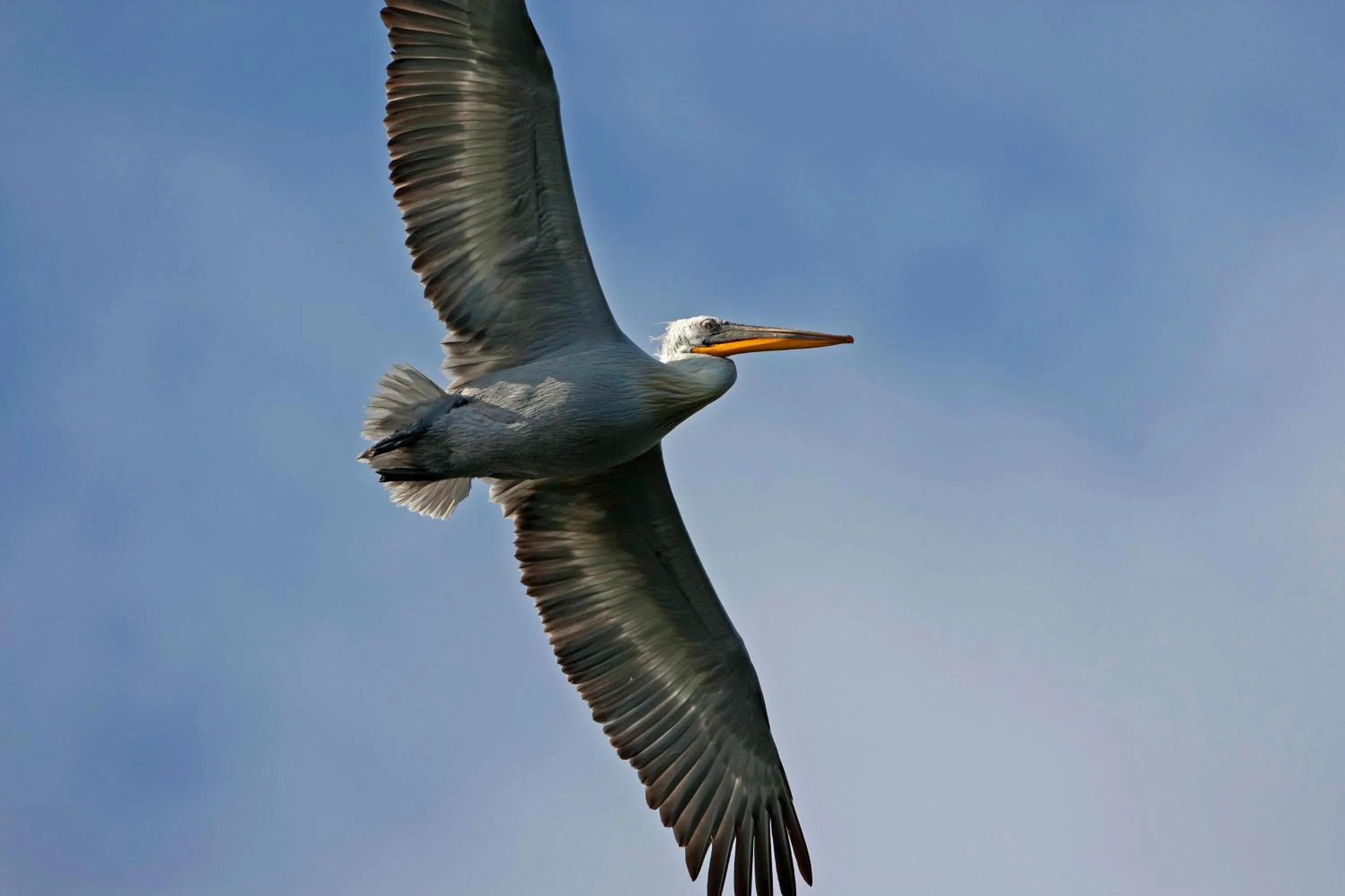 Day in Agios Germanos