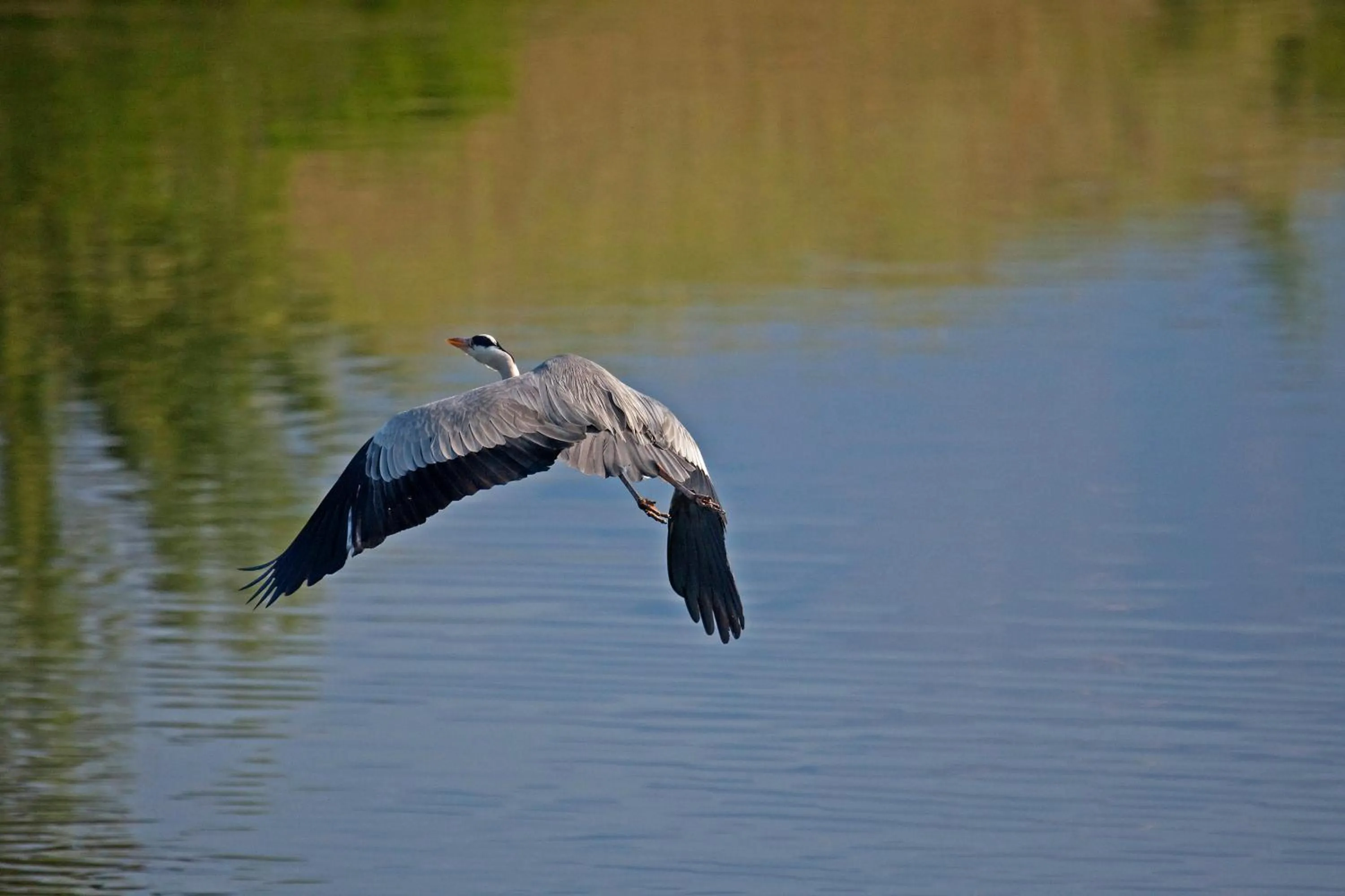 Natural landscape in Agios Germanos