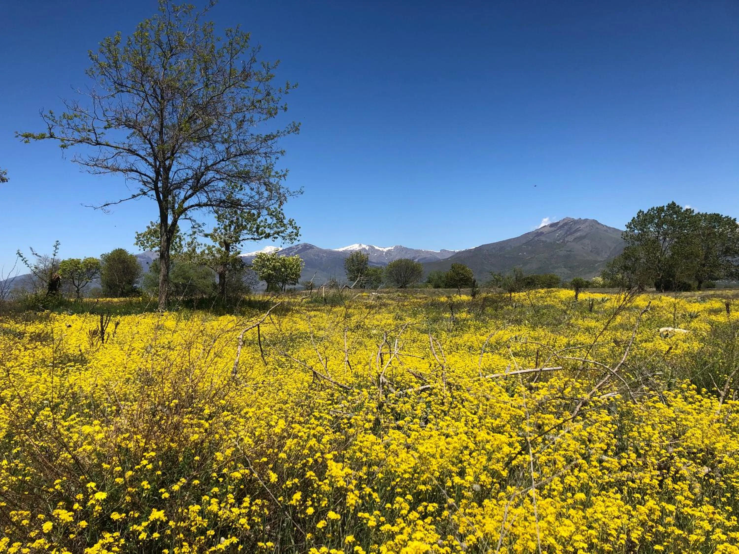 Spring in Agios Germanos