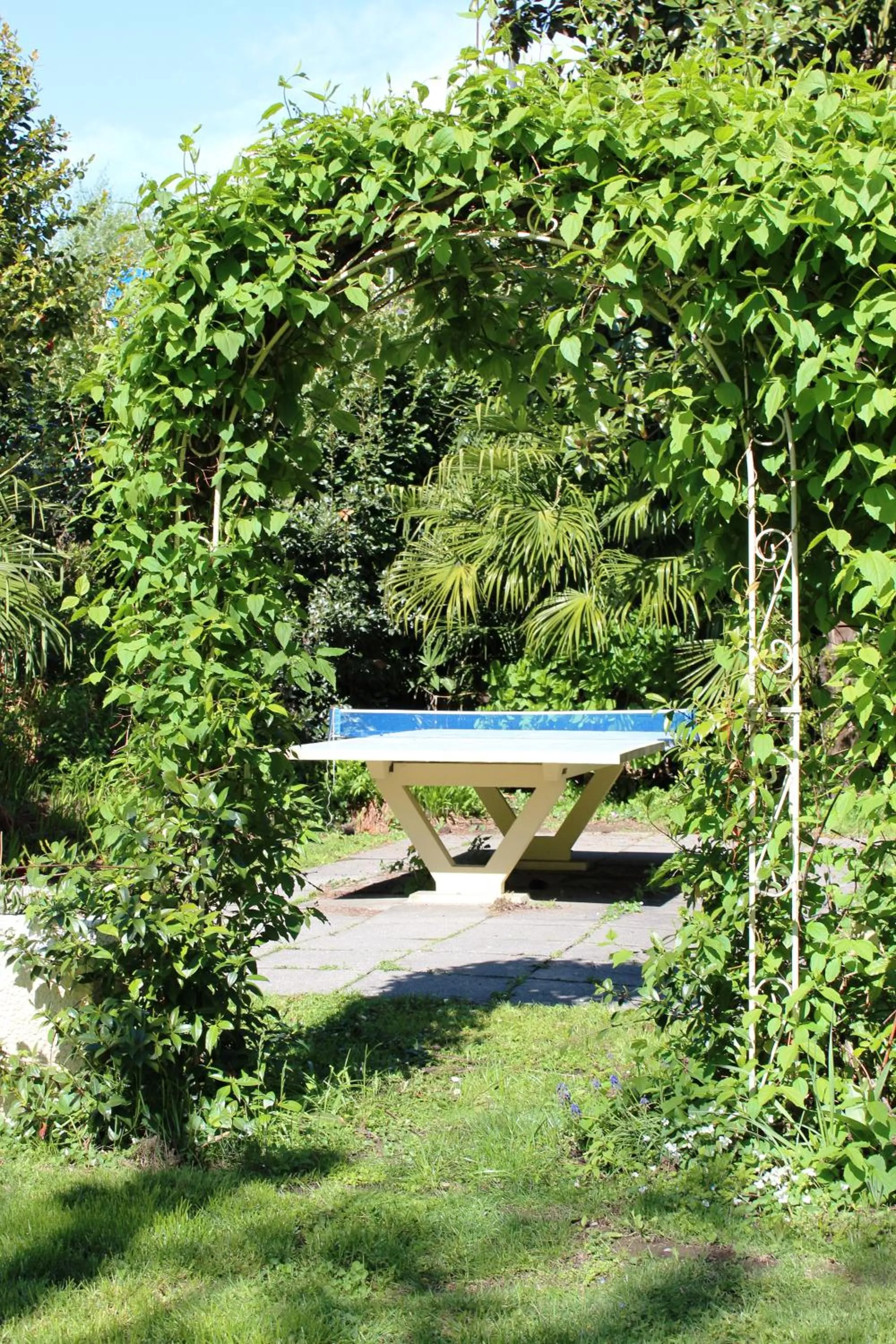 Table tennis in Hotel Luna Garni