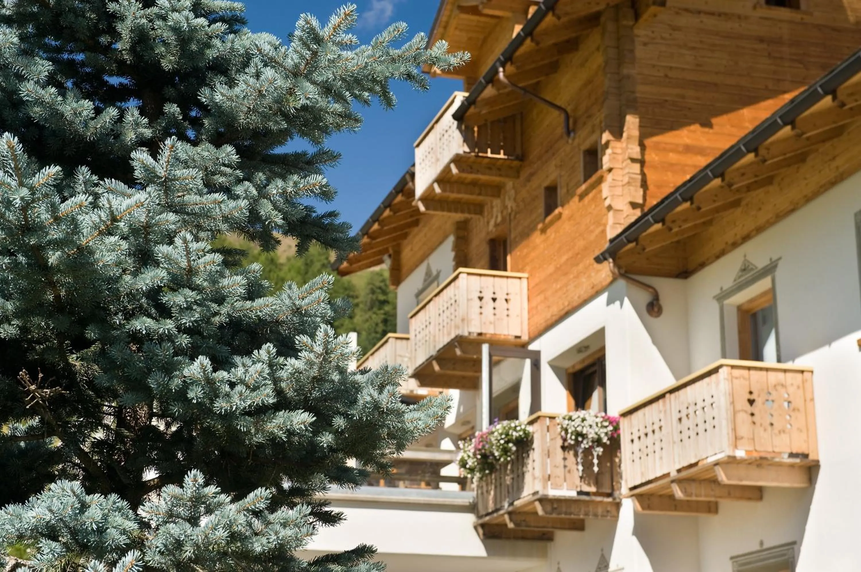 Facade/entrance in Hotel Alegra
