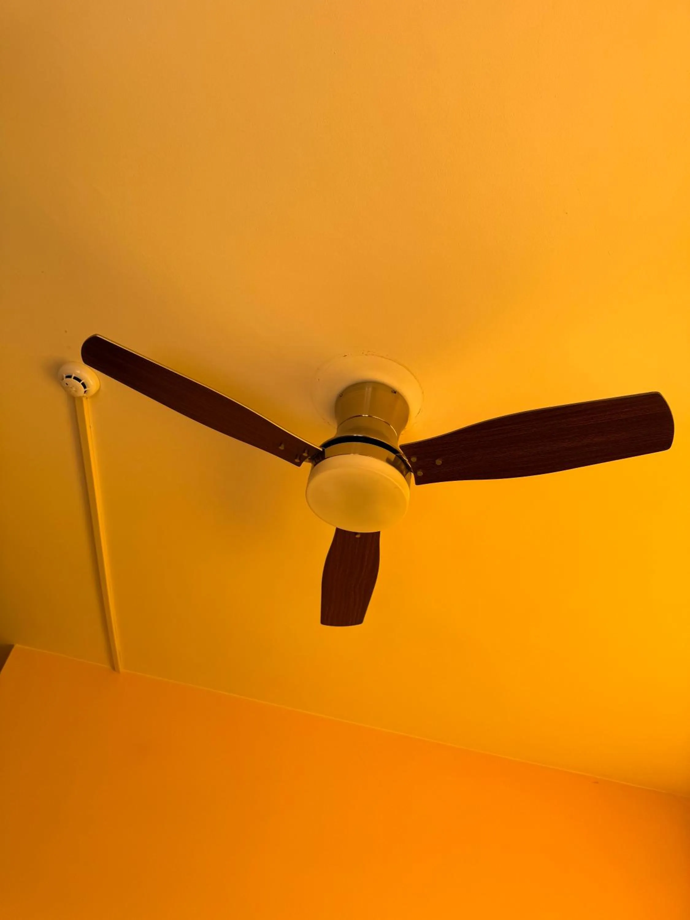 Bedroom in Hotel Diana