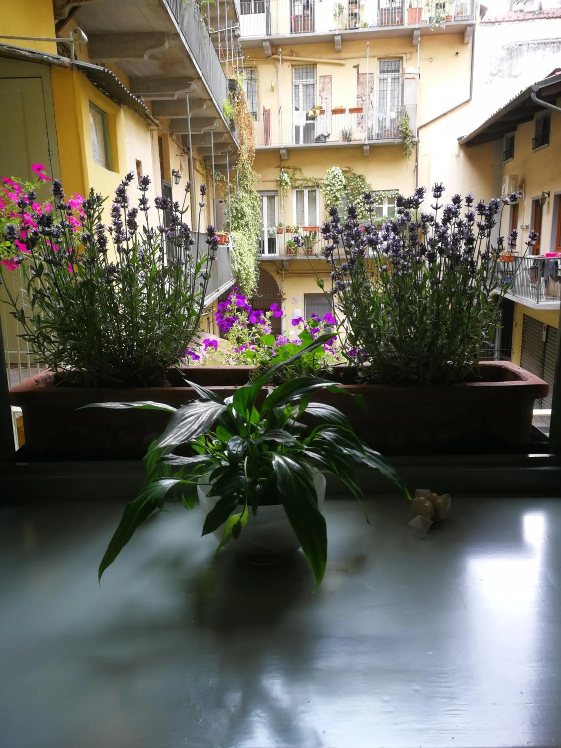 Inner courtyard view in Casa del Cuore