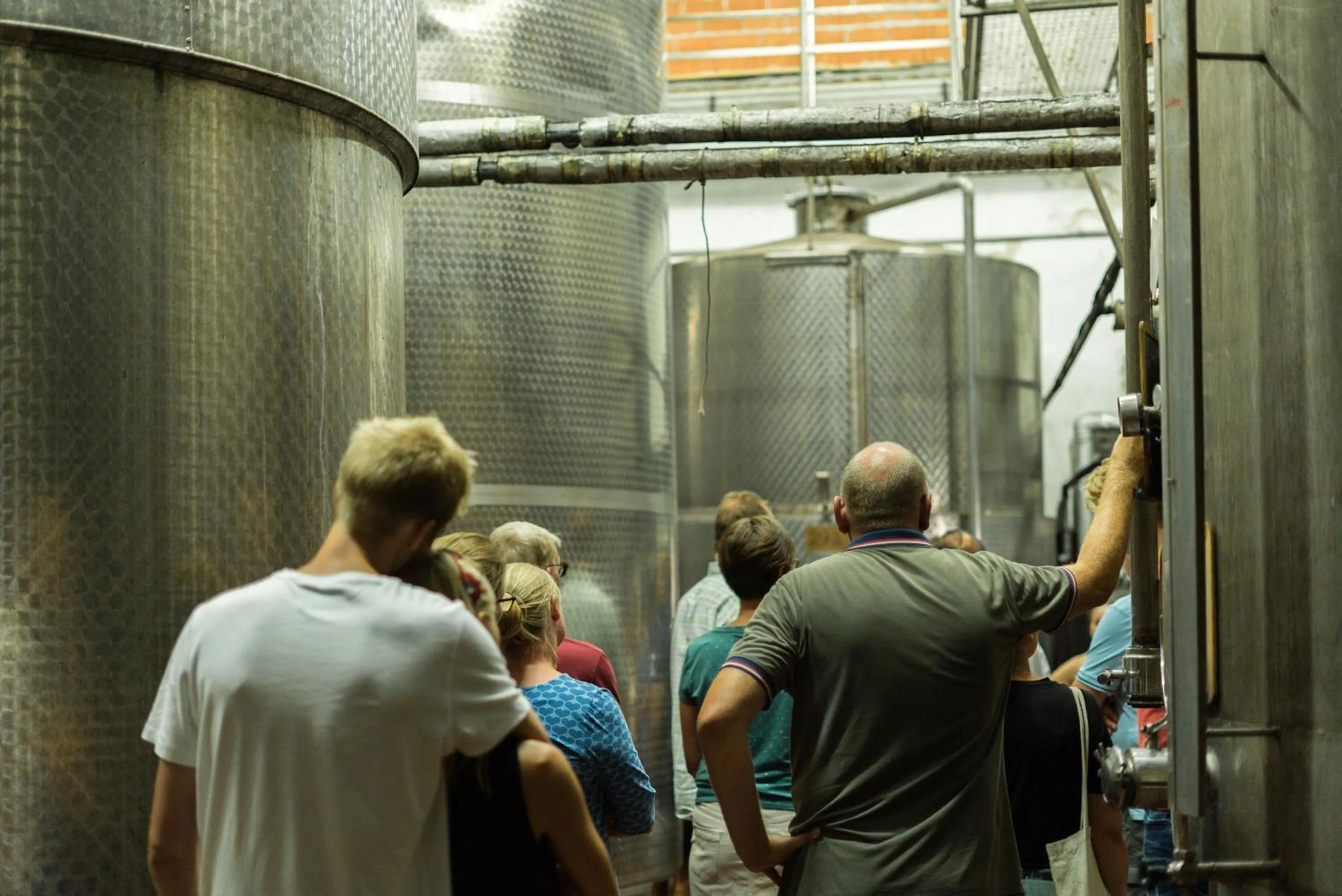 Activities in Agriturismo Streda Wine & Country Holiday