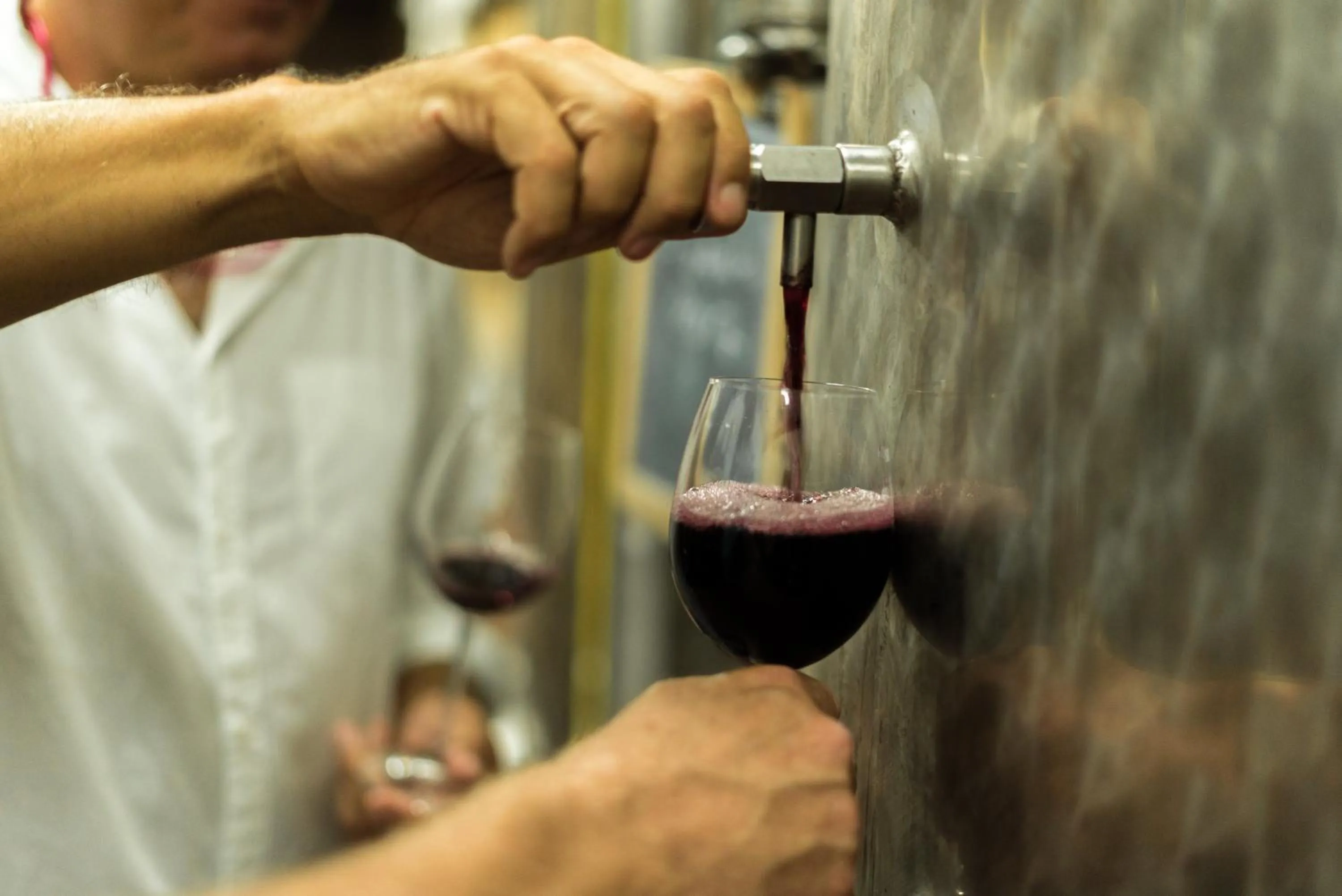 Entertainment in Agriturismo Streda Wine & Country Holiday