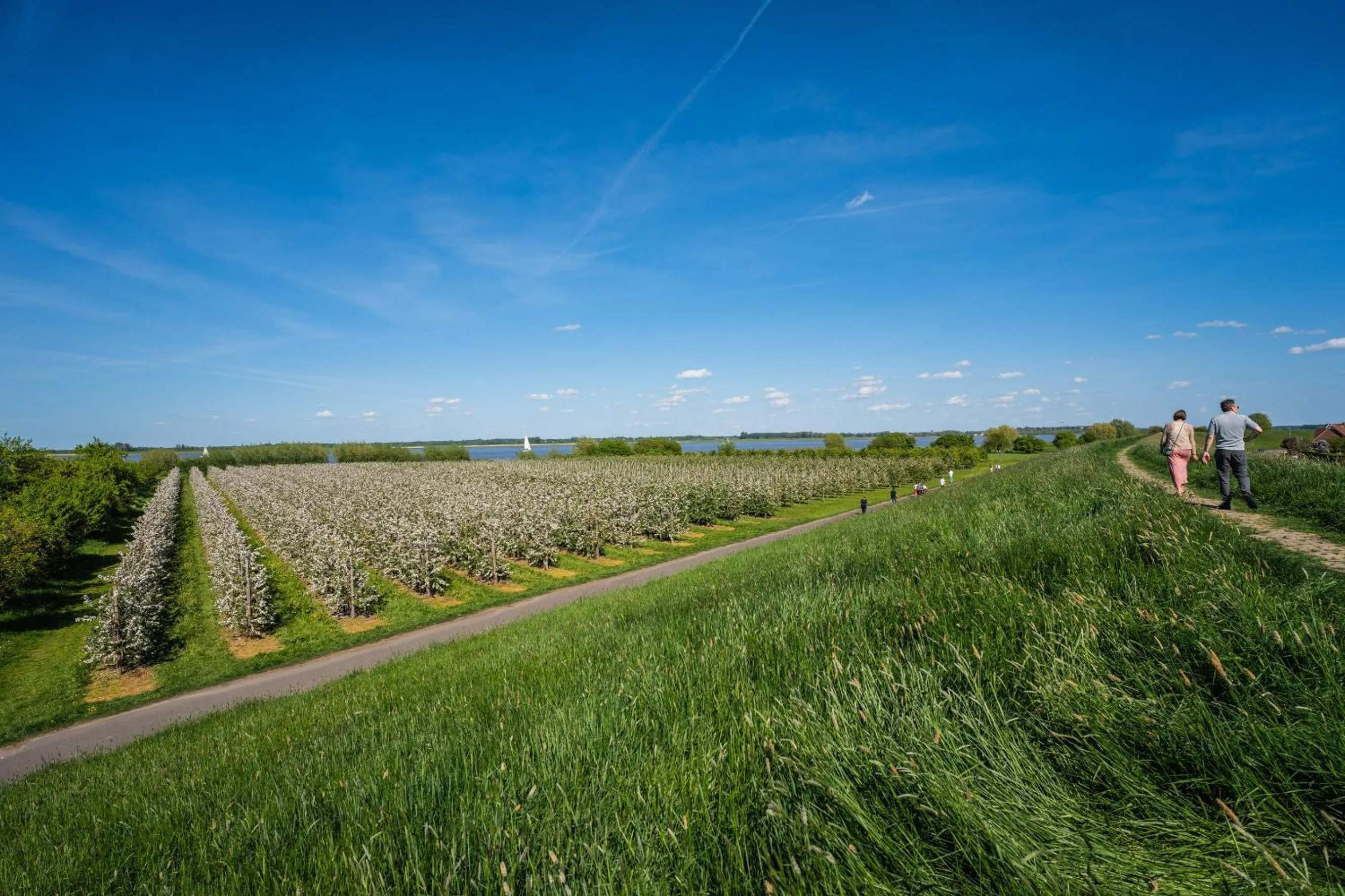 Area and facilities in Hotel am Holzhafen
