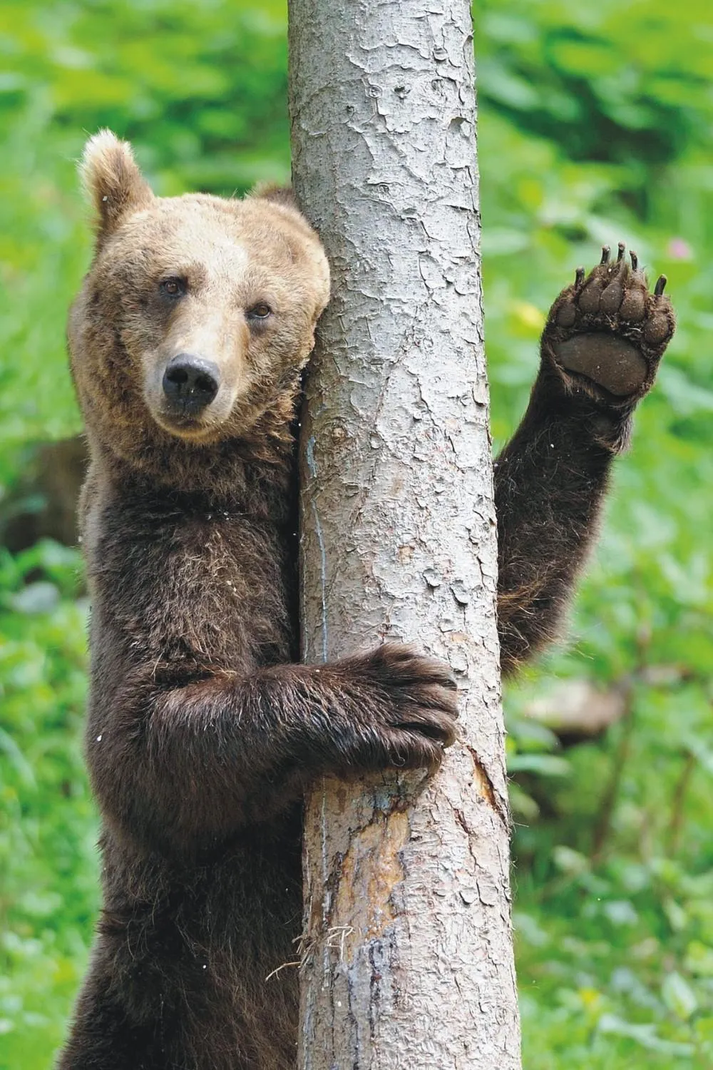 Property building in Hotel Restaurant Albans Sonne