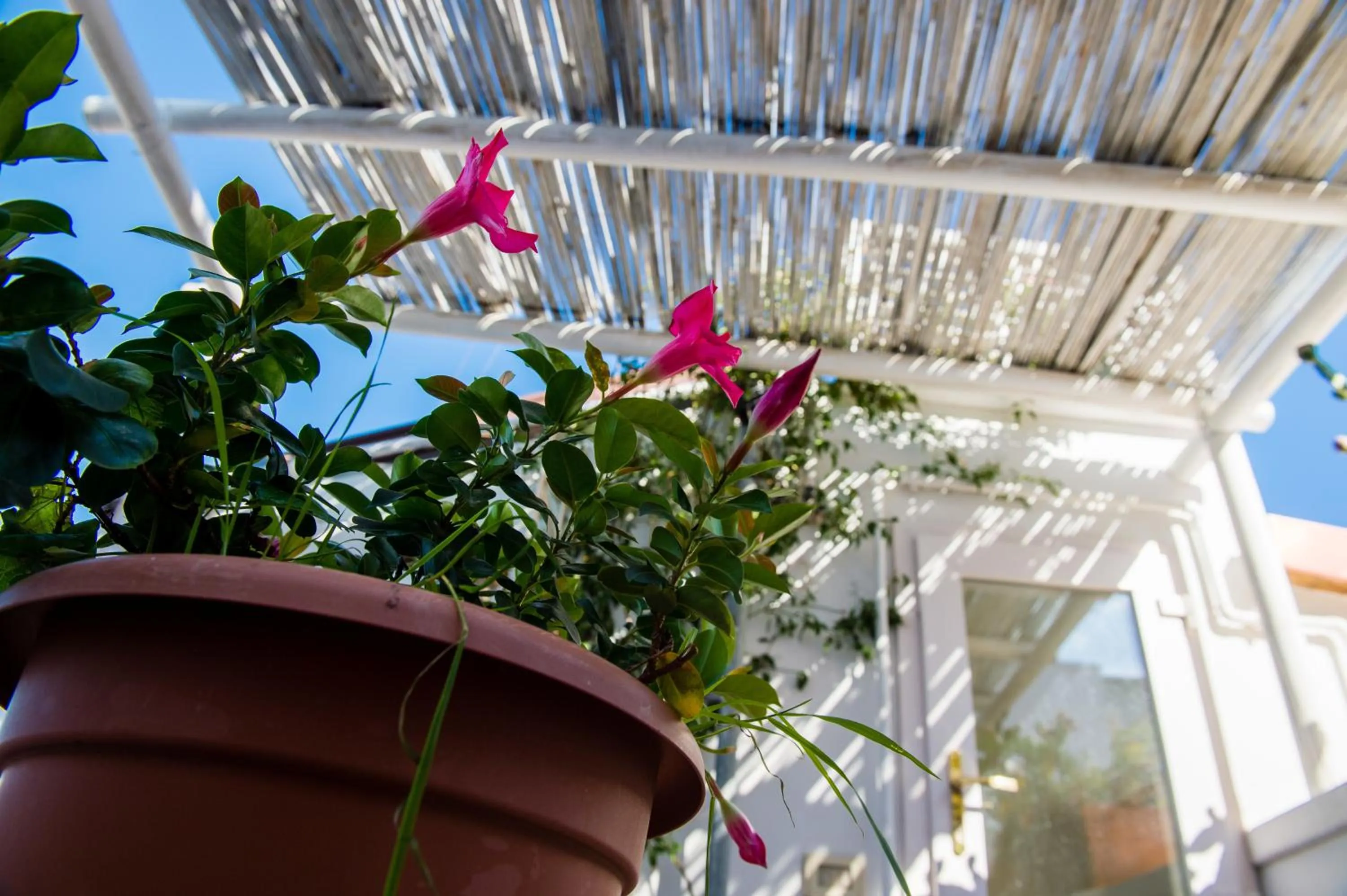 Balcony/Terrace in B&B Casa Dorsi