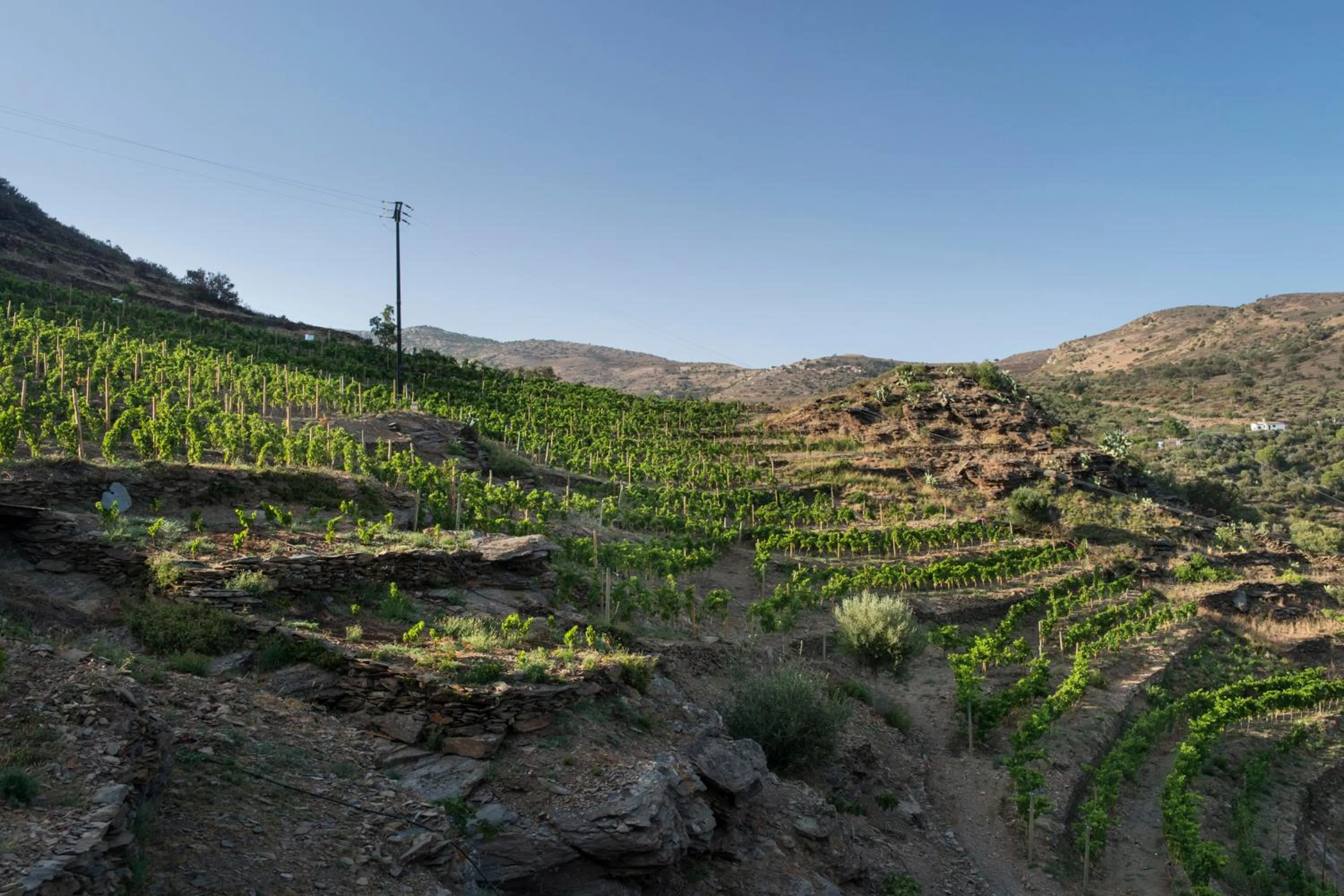 Sea view in Hotel Cala Joncols