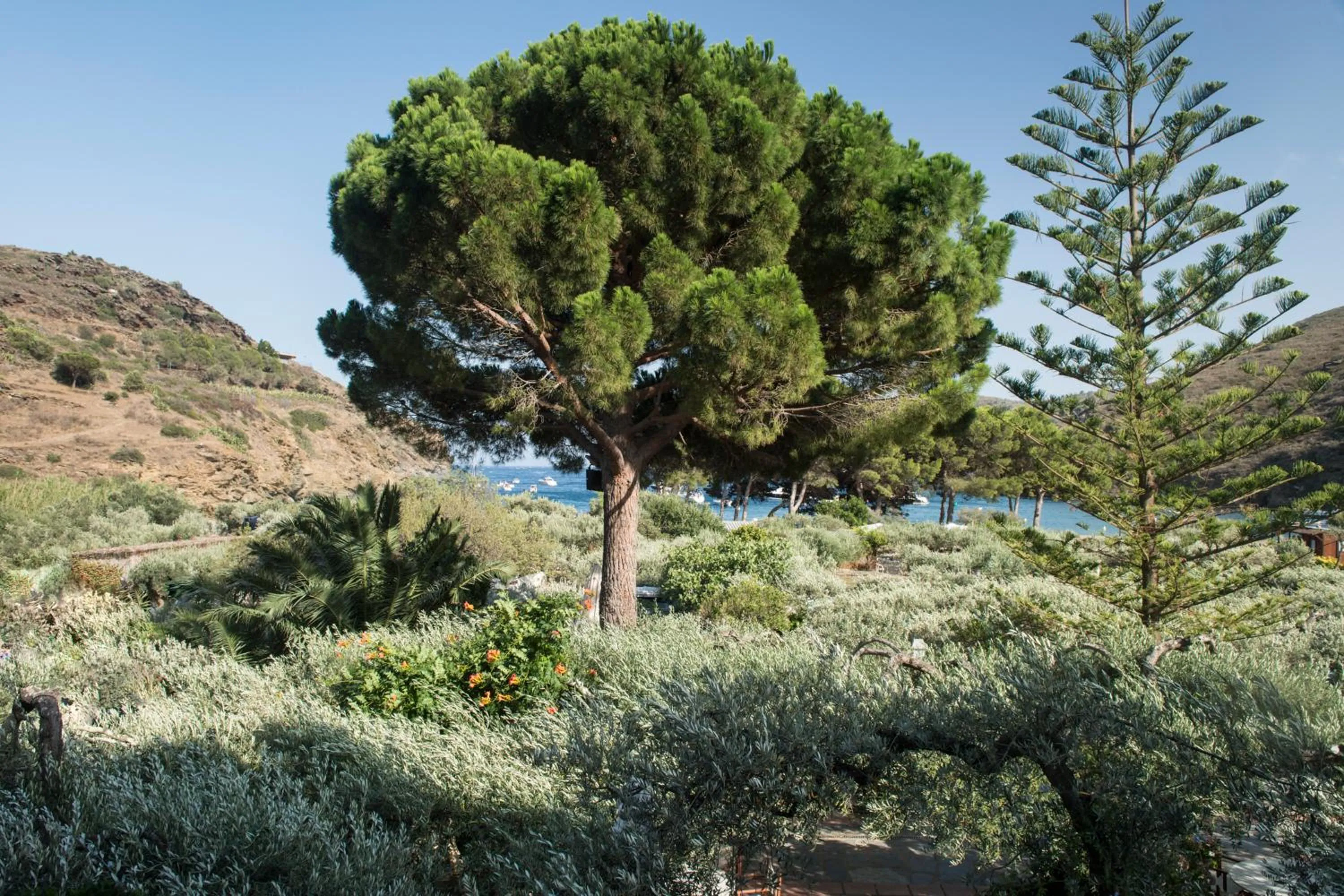 Garden view in Hotel Cala Joncols