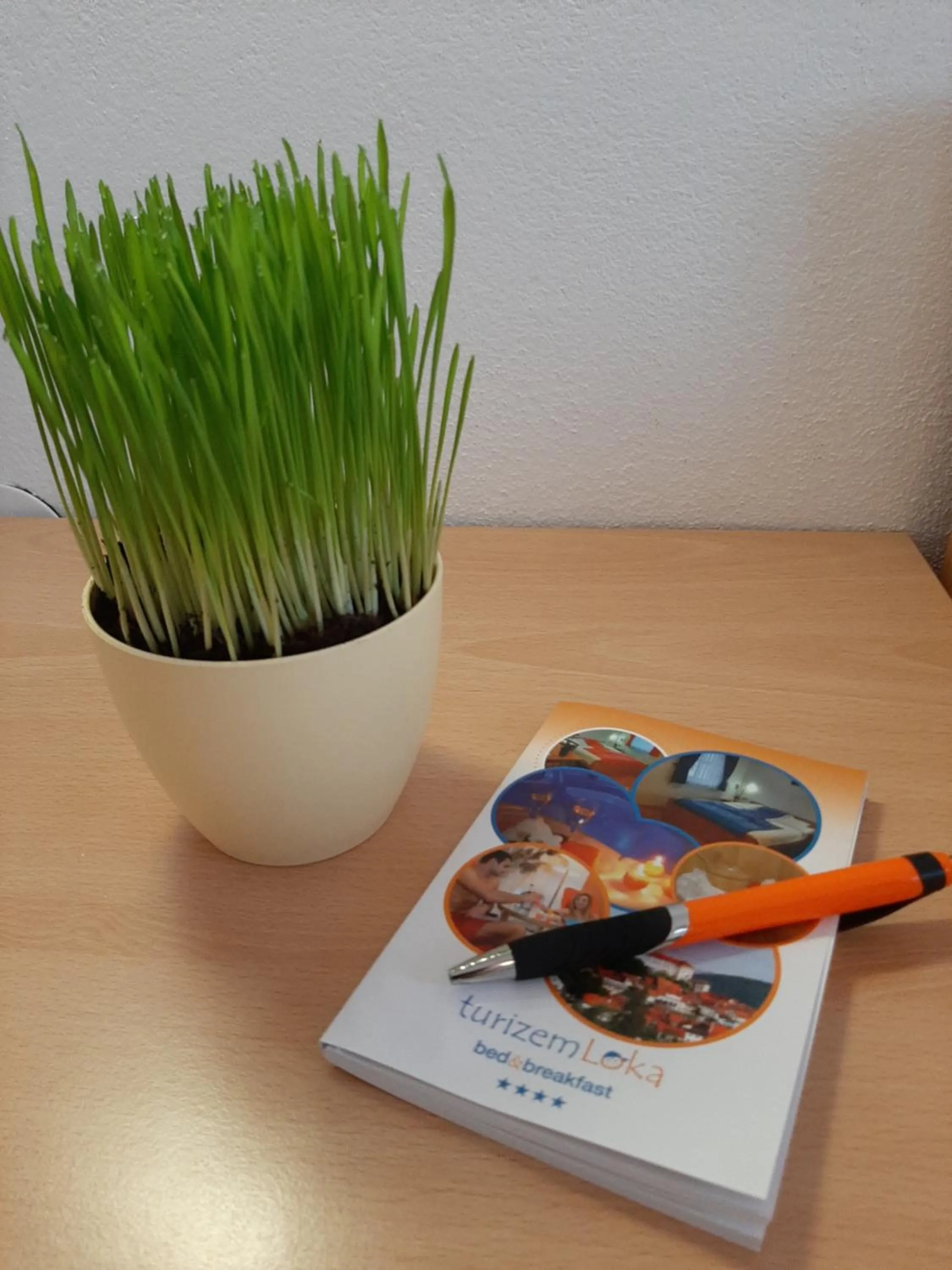 Double Room in Boutique Hotel Loka