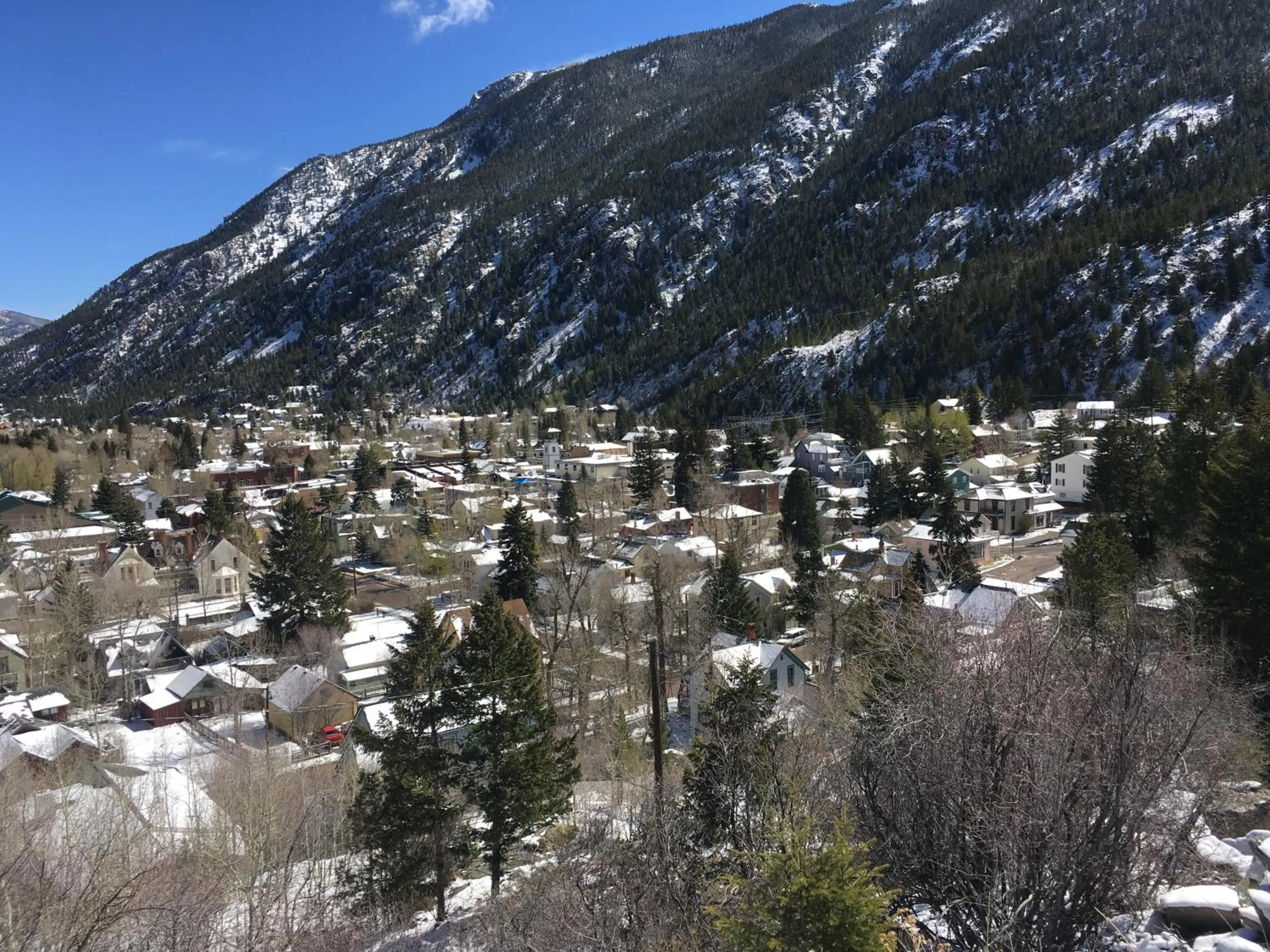 View (from property/room) in Rose Street Bed & Breakfast