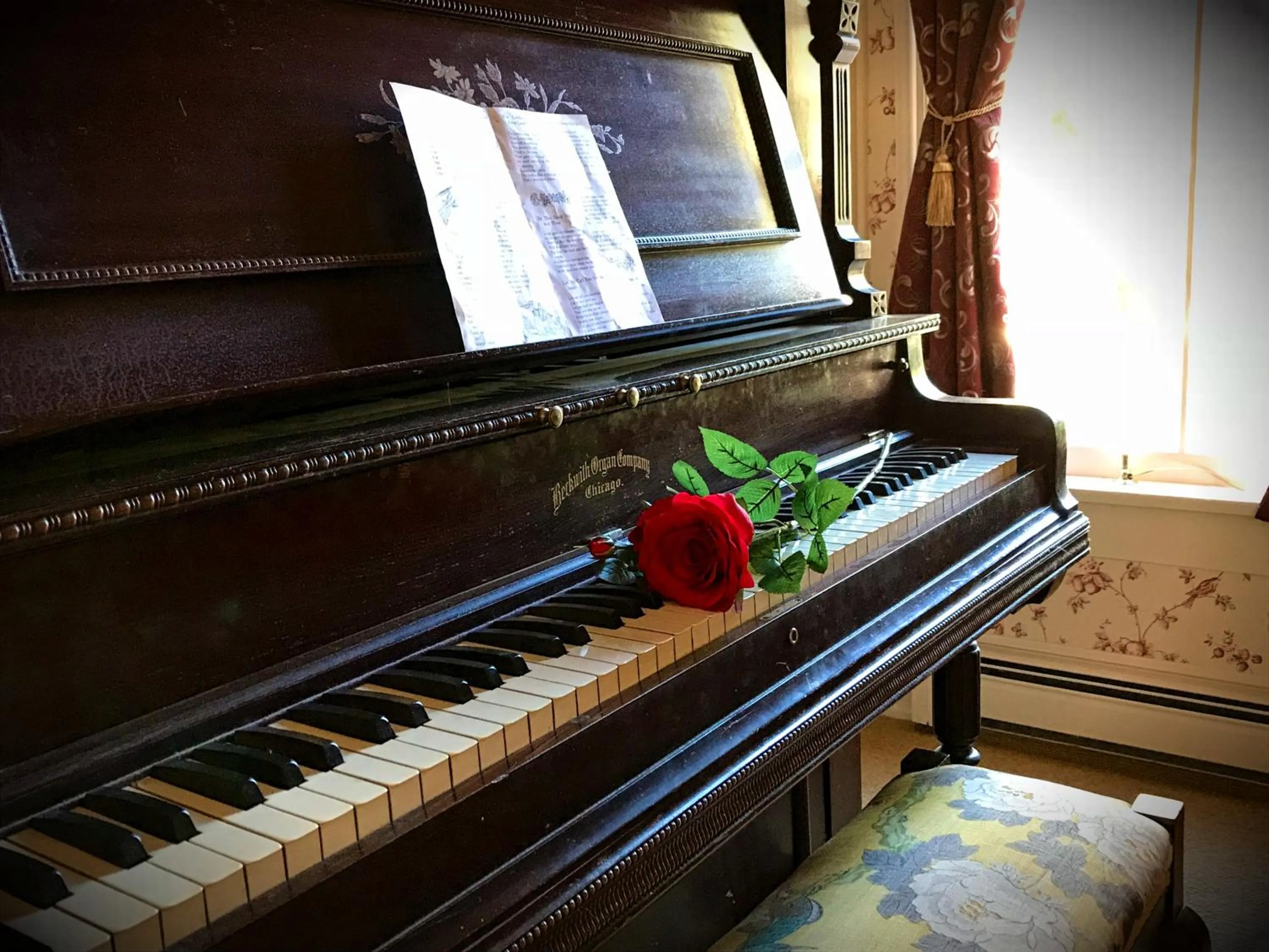 Entertainment in Rose Street Bed & Breakfast