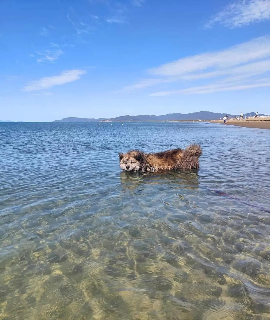 Beach in Mareblù - Tuscany Green Aparthotel