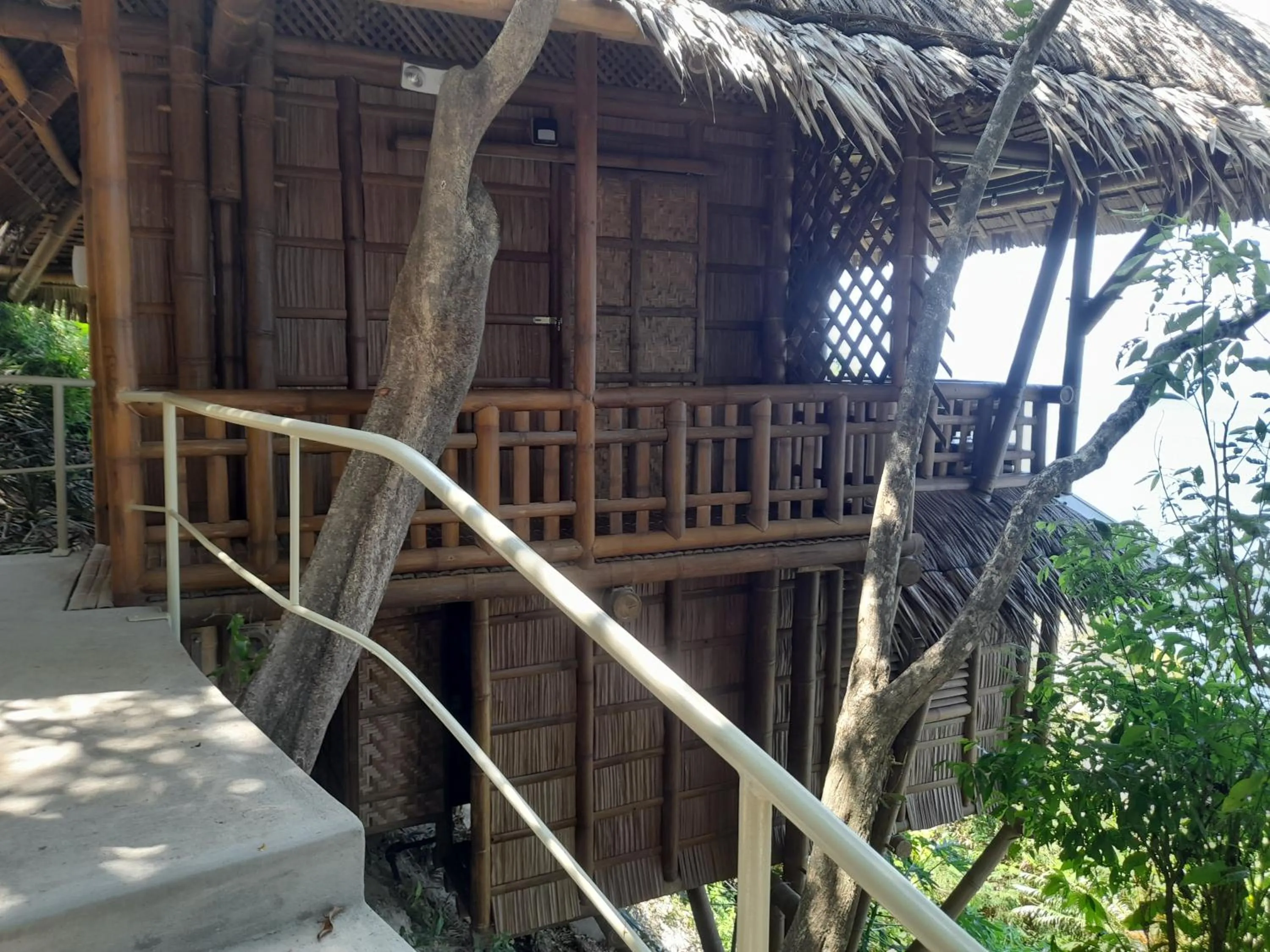 Property building in Kookoo's nest eco-lodge
