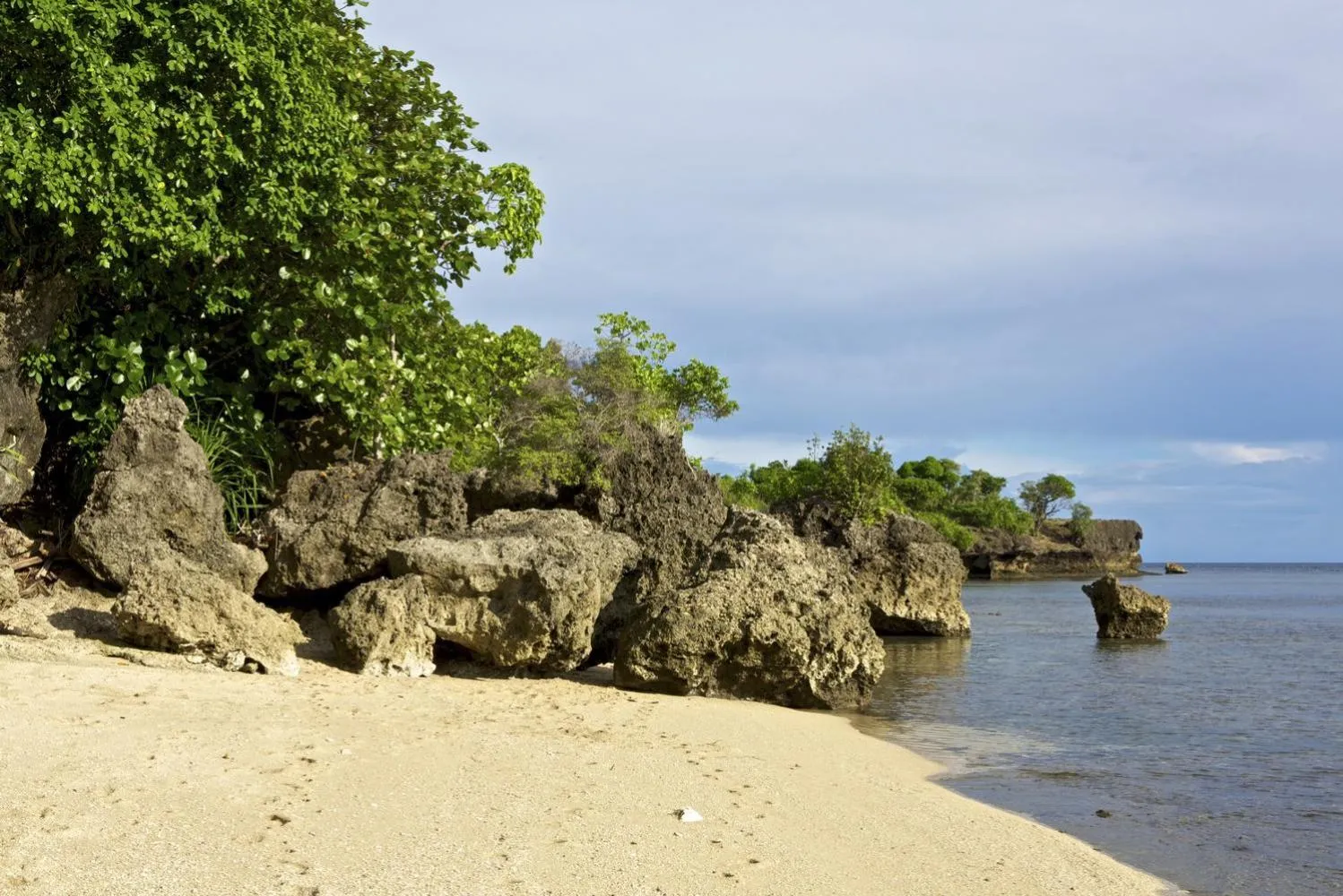 Property building in Kookoo's nest eco-lodge