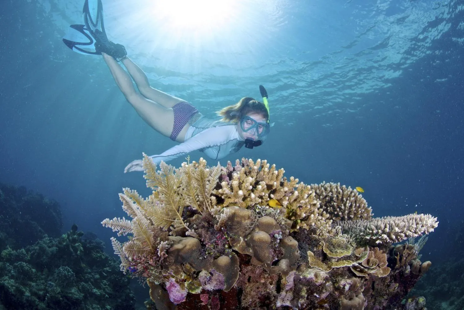 Activities in Kookoo's nest eco-lodge