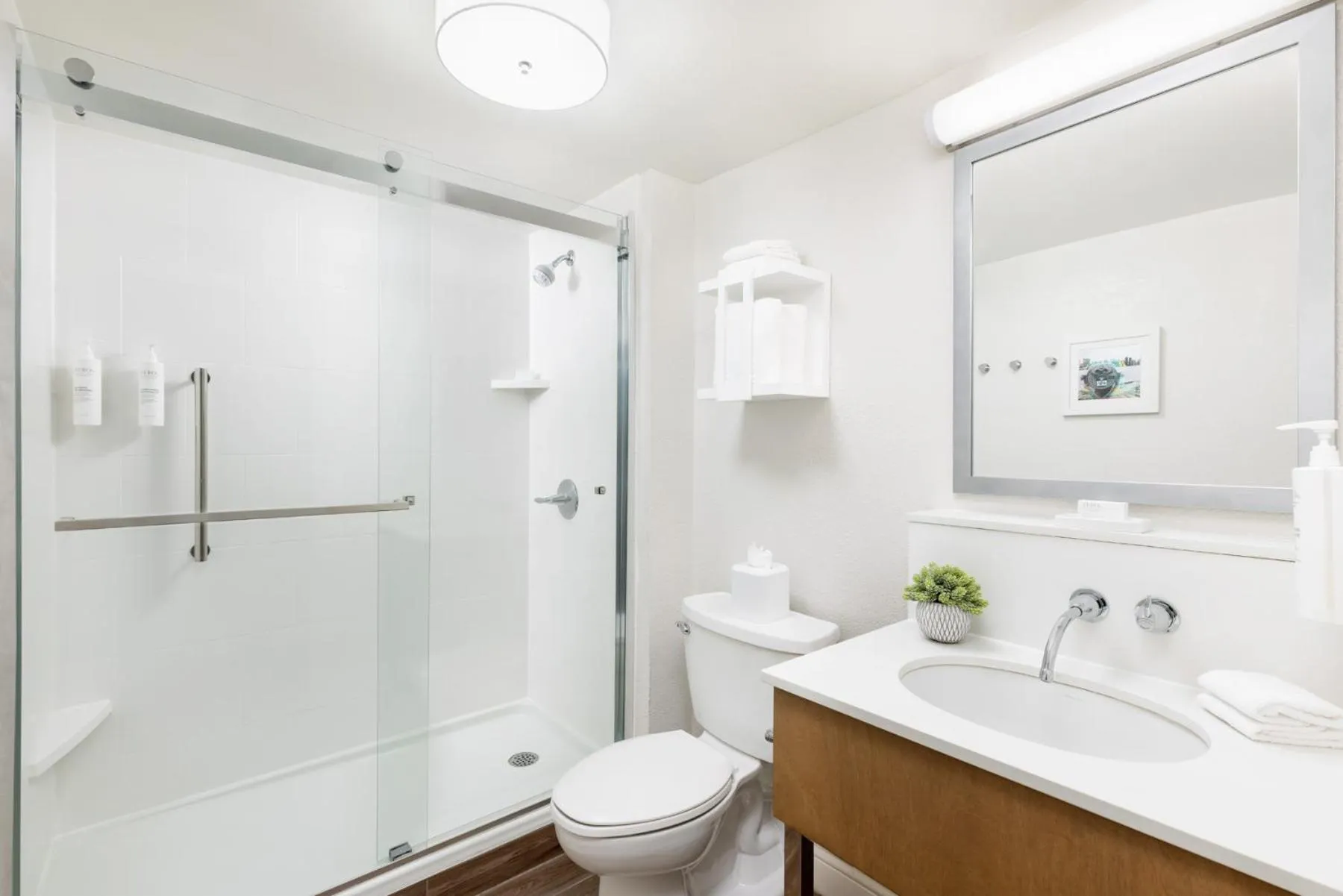 Shower in Hampton Inn Long Island/Islandia