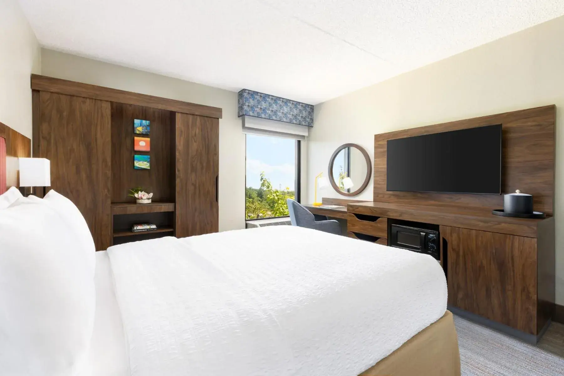 Queen Room with Bath Tub - Disability Access/Non-Smoking in Hampton Inn Long Island/Islandia Queen Room with Bath Tub - Disability Access/Non-Smoking in Hampton Inn Long Island/Islandia