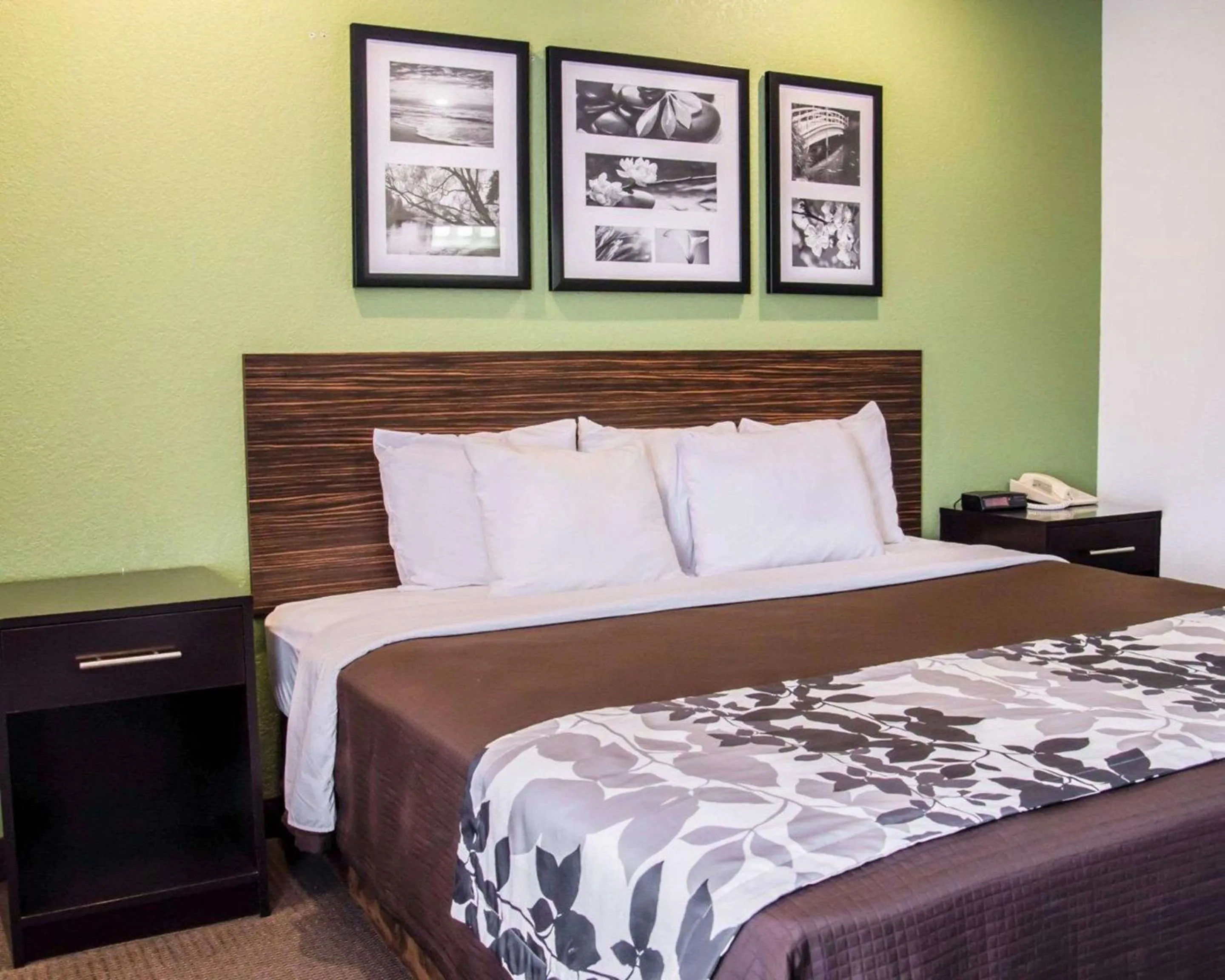 Photo of the whole room, Bed in Sleep Inn Concord - Kannapolis