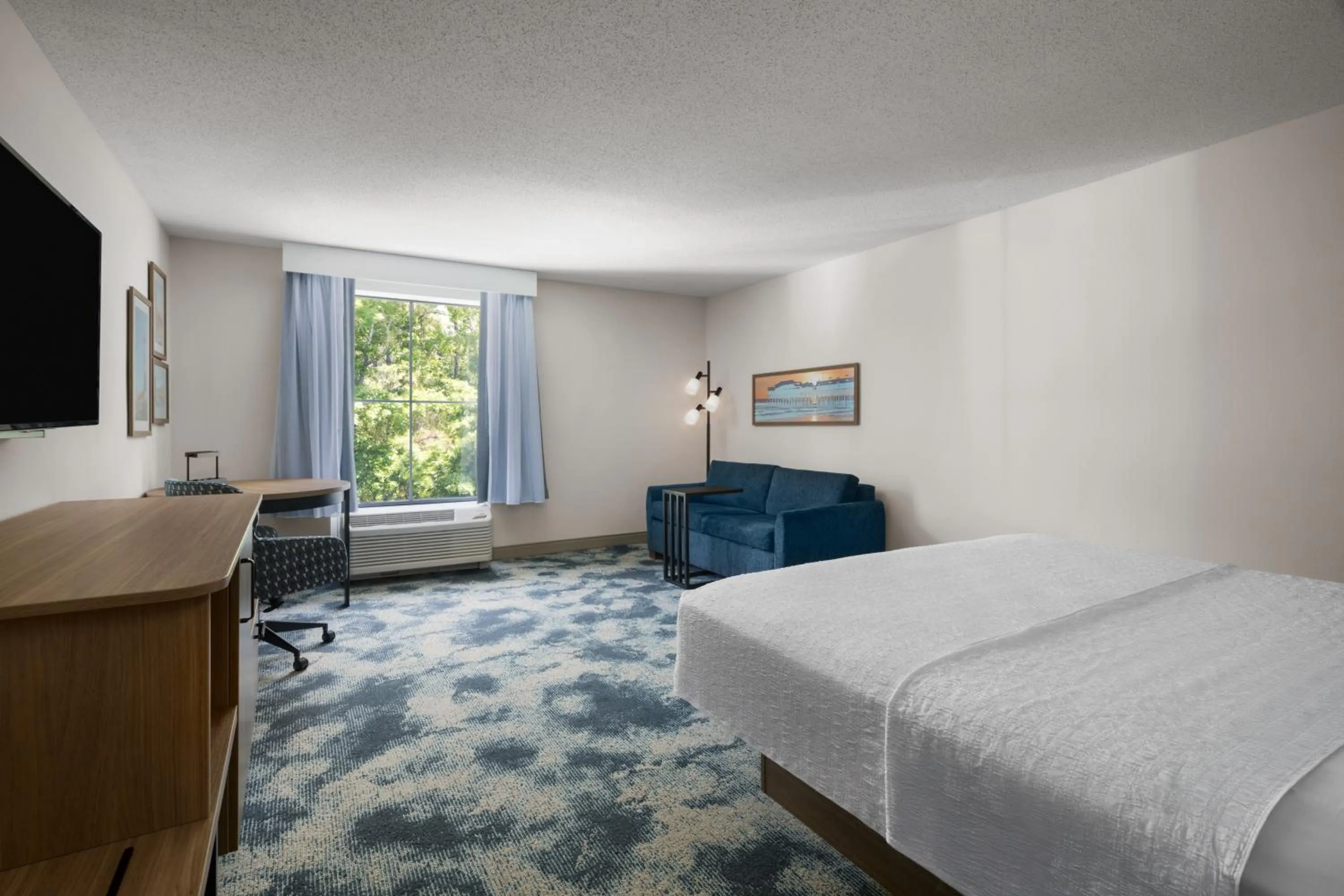 Guests, Bed in Hampton Inn Murrells Inlet/Myrtle Beach Area