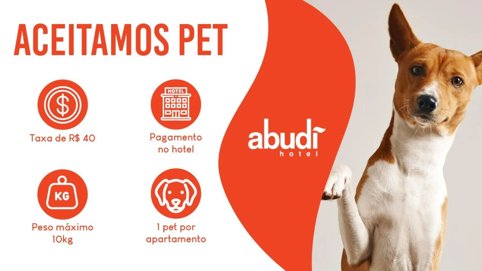 Logo/Certificate/Sign in Abudi Hotel