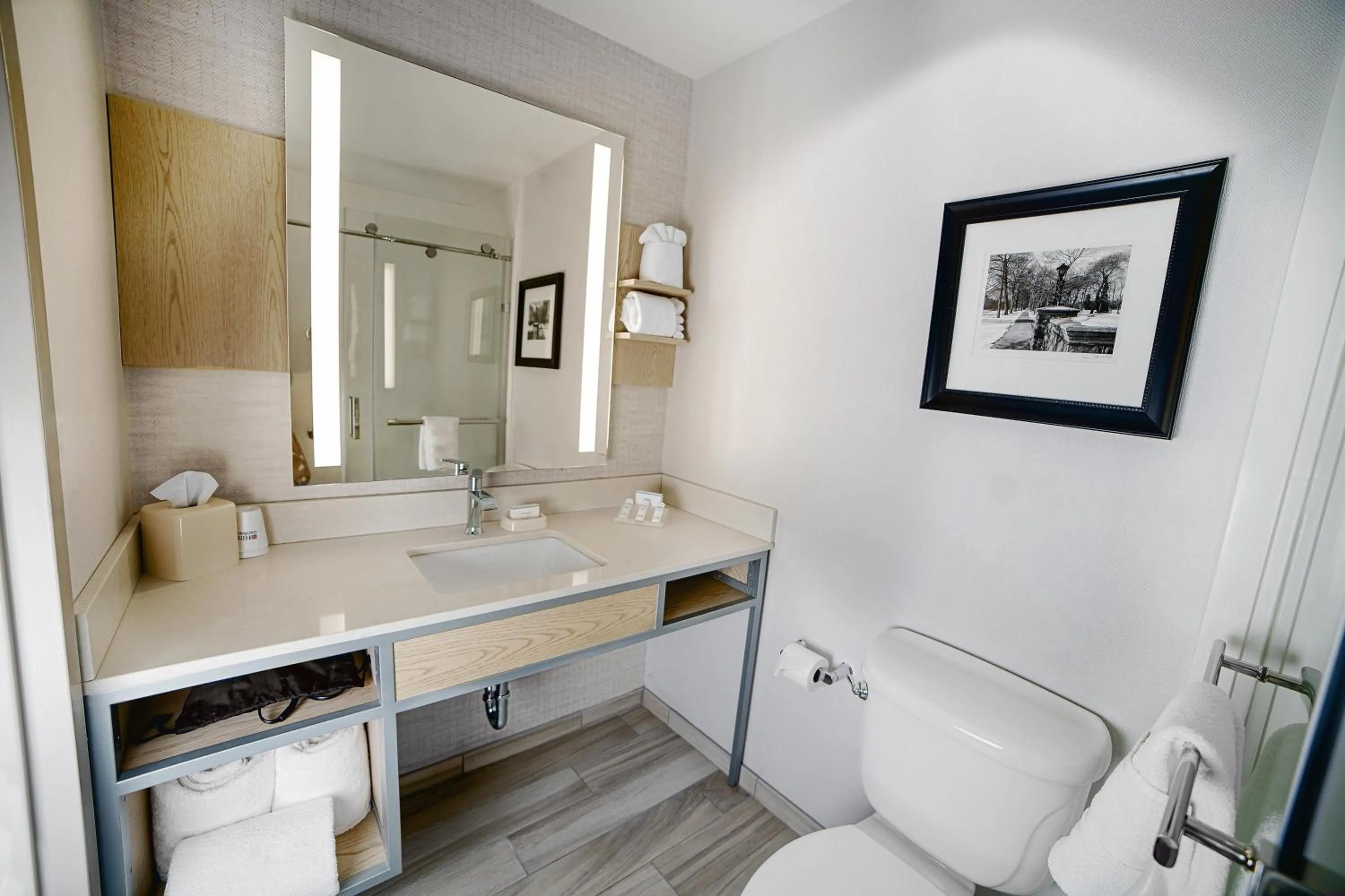 Bathroom in Hilton Garden Inn South Bend