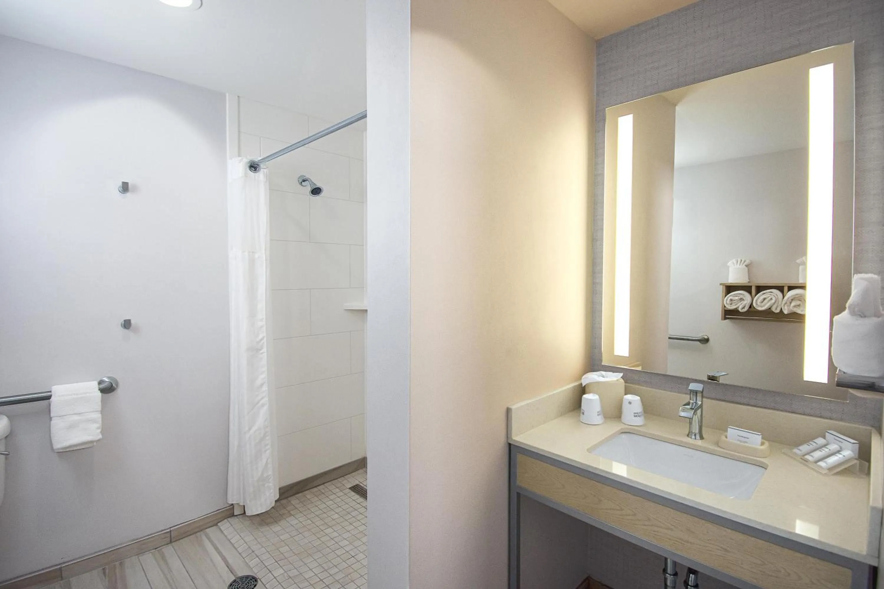 Bathroom in Hilton Garden Inn South Bend