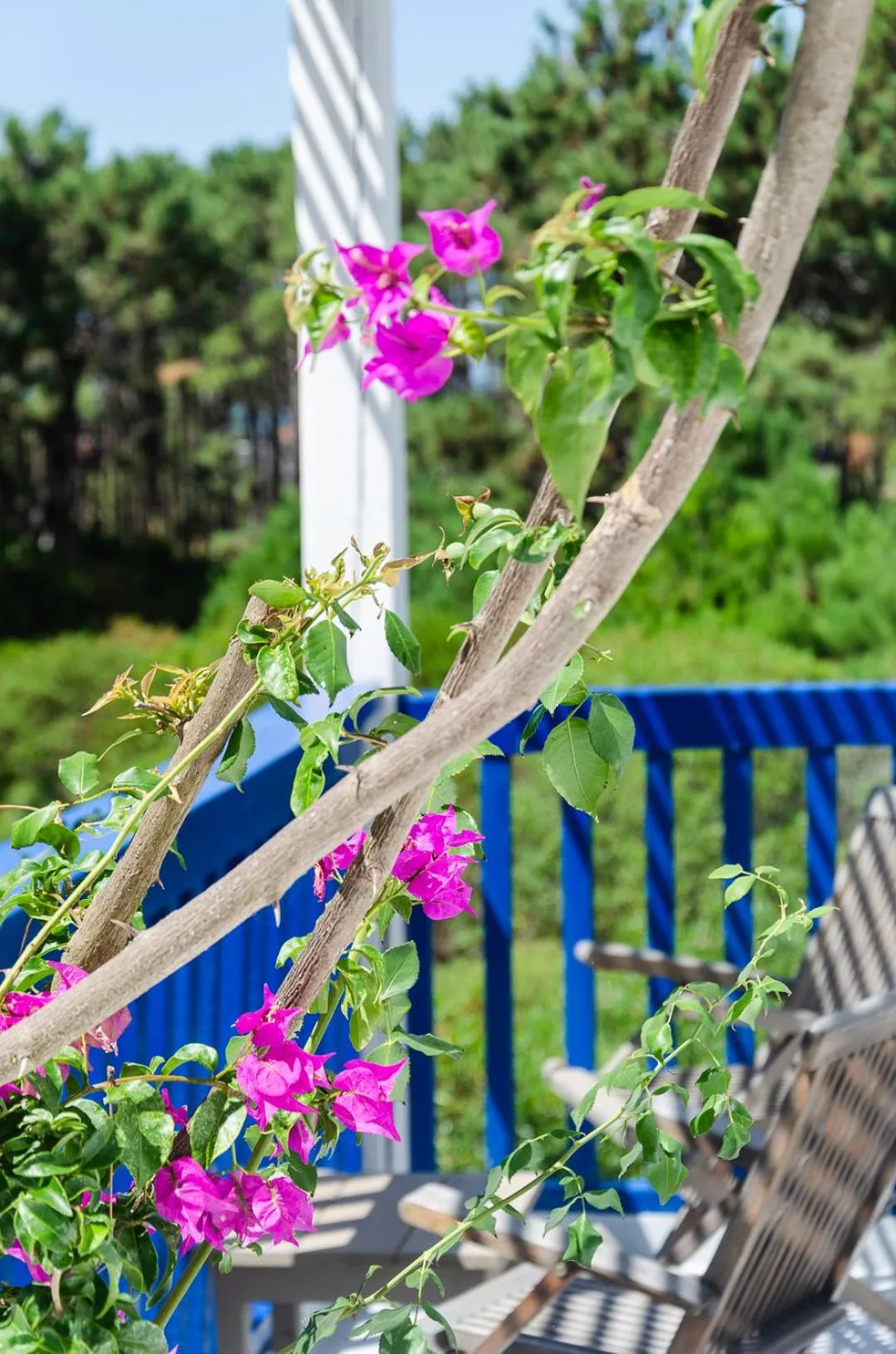Balcony/Terrace in Kalá Hotel Boutique