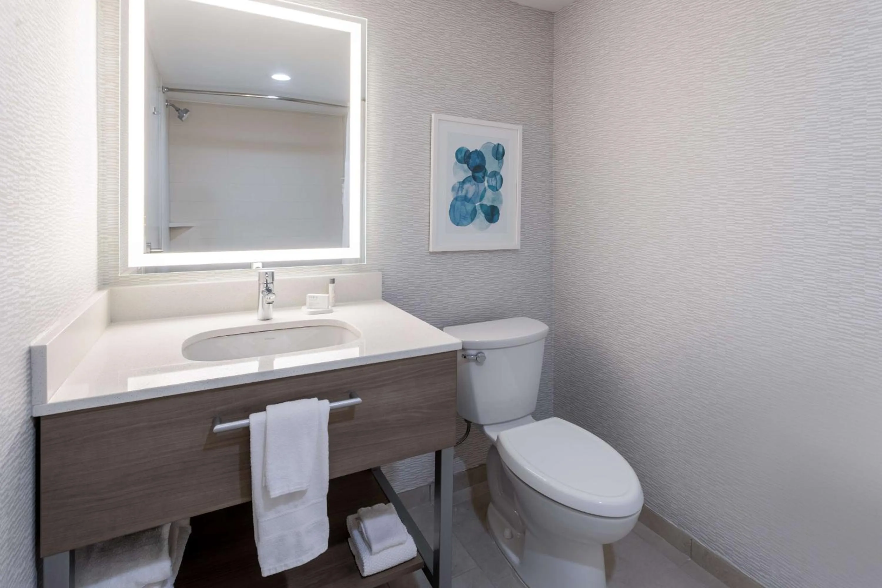 Bathroom in Hampton Inn & Suites Venice Bayside South Sarasota