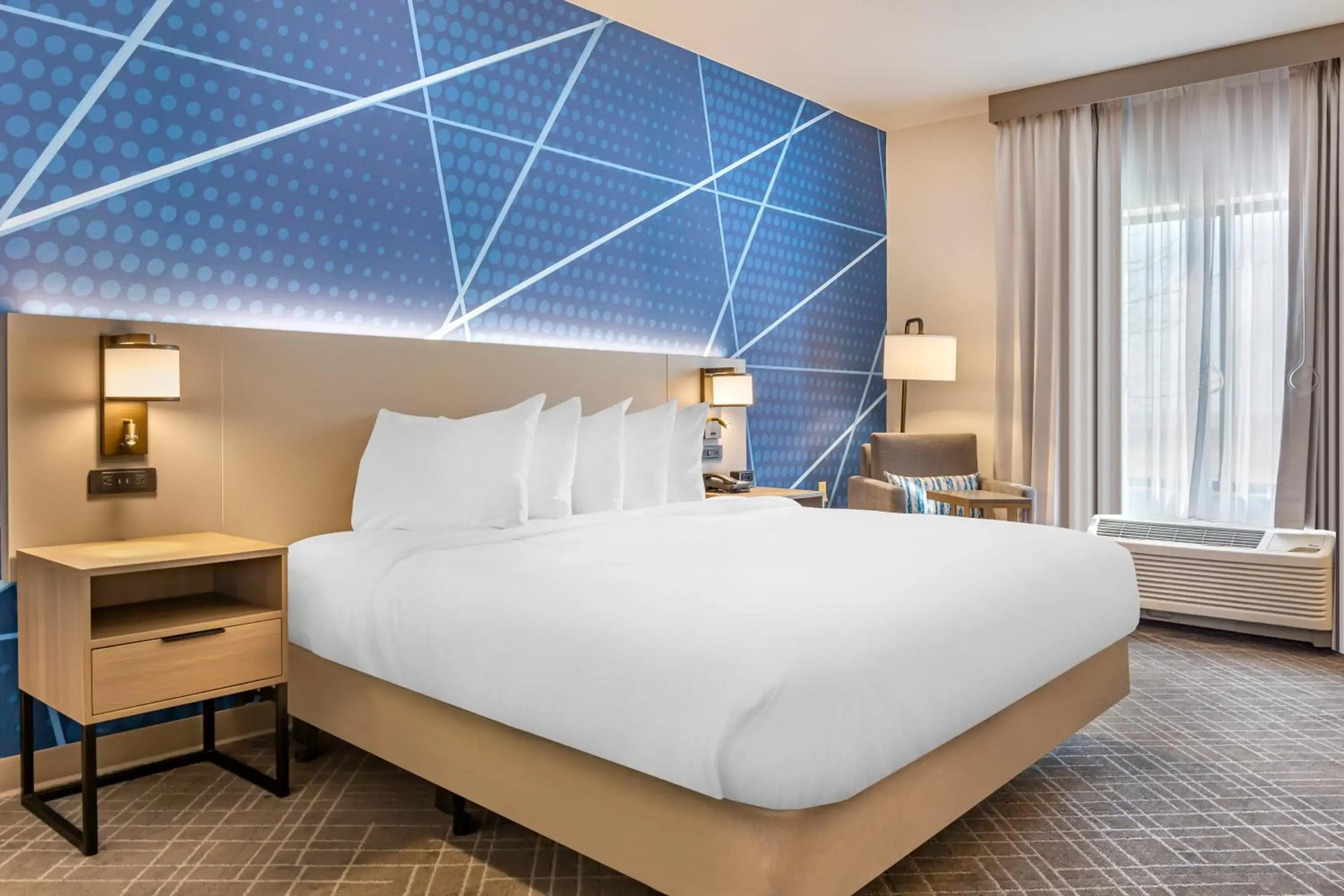 King Room with Roll-In Shower - Disability Access/Non Smoking in Comfort Inn & Suites Rapid City near Mt Rushmore King Room with Roll-In Shower - Disability Access/Non Smoking in Comfort Inn & Suites Rapid City near Mt Rushmore