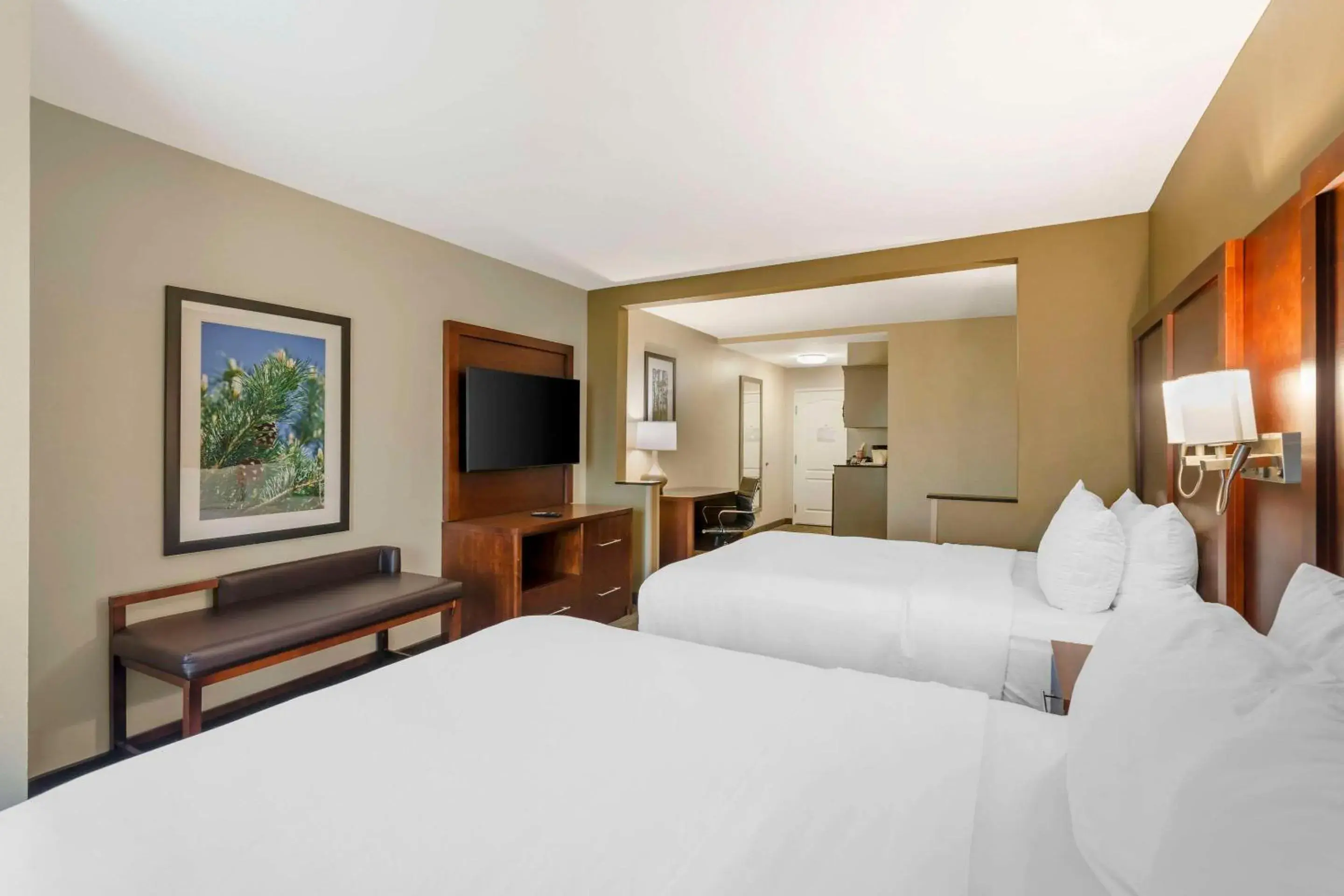 Queen Suite - Non-Smoking in Comfort Inn & Suites Queen Suite - Non-Smoking in Comfort Inn & Suites