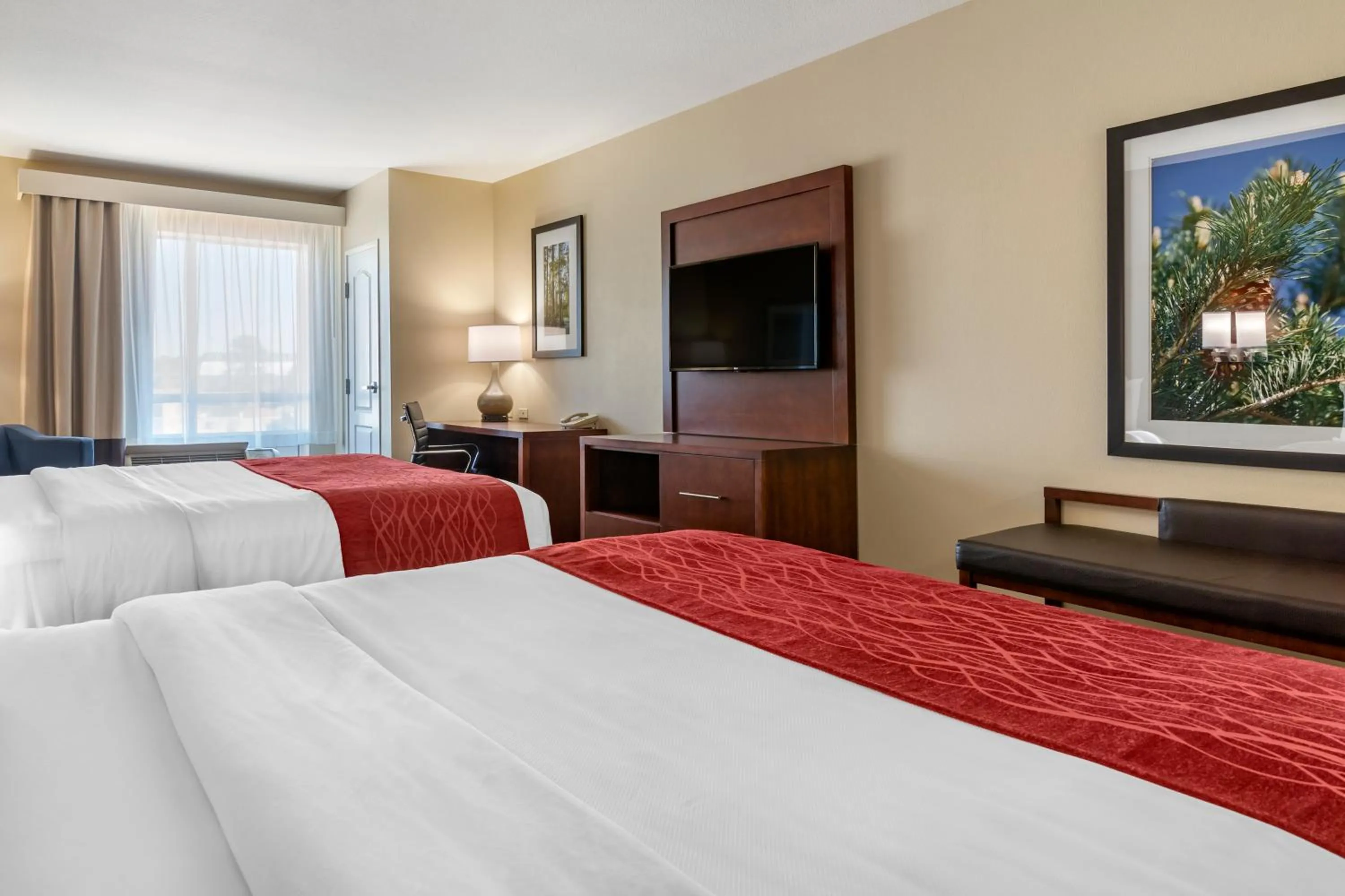 Bed in Comfort Inn & Suites Tifton