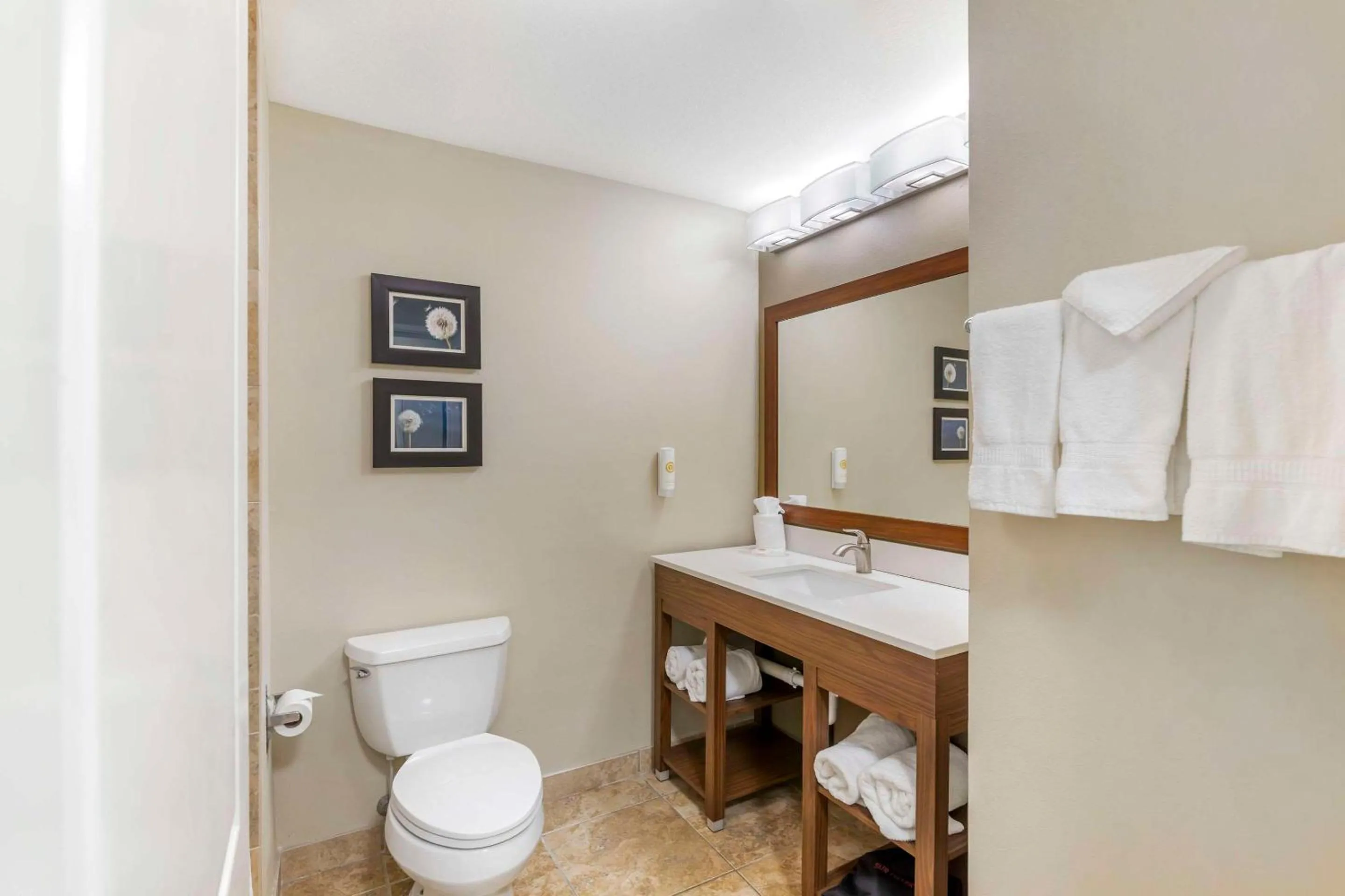 Bathroom in Comfort Inn & Suites Tifton