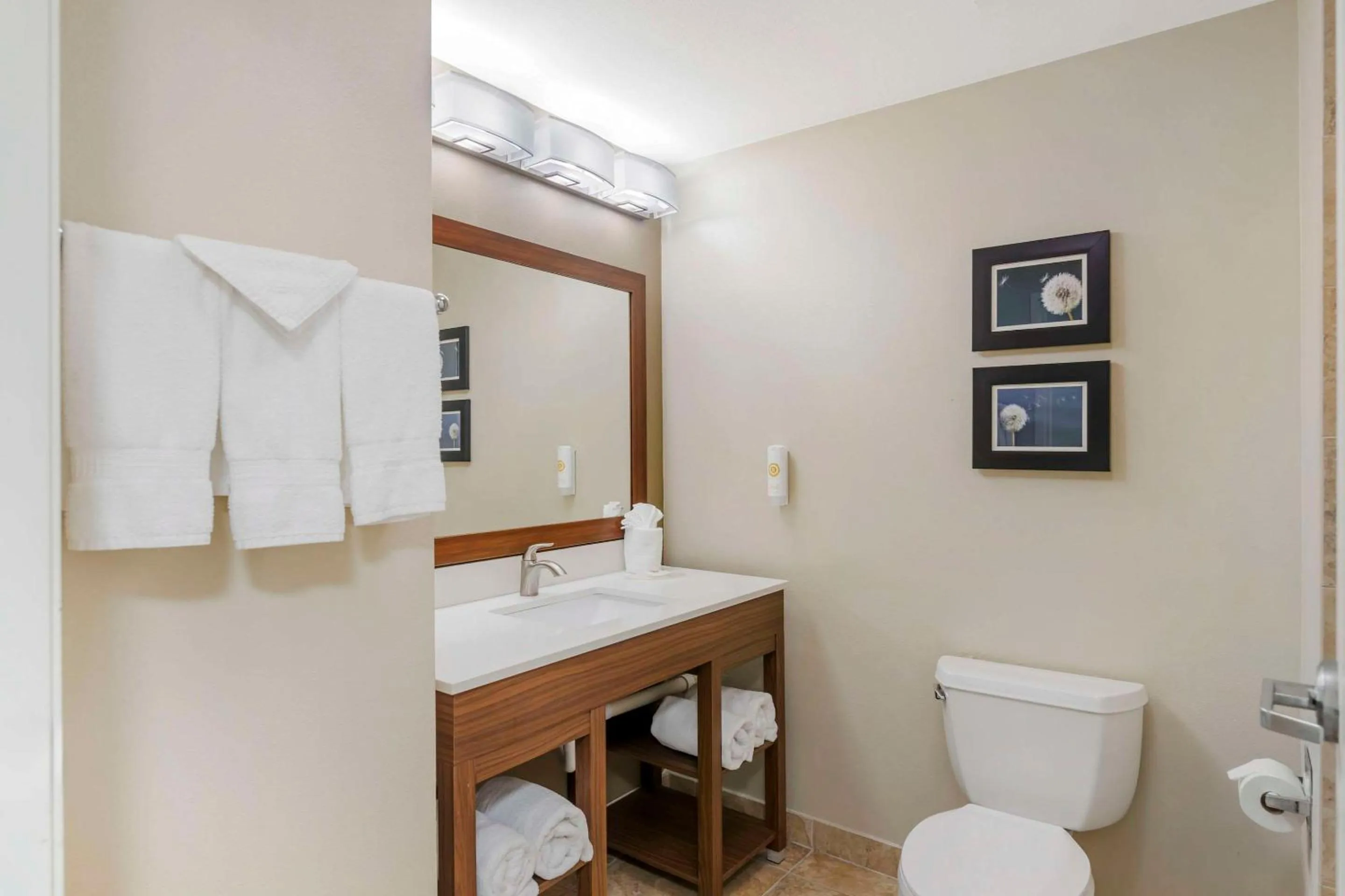 Toilet in Comfort Inn & Suites Tifton