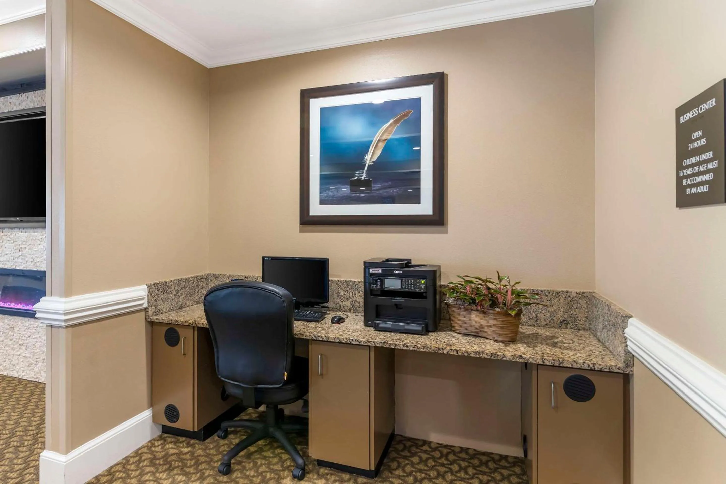 Business facilities in Comfort Inn & Suites Tifton